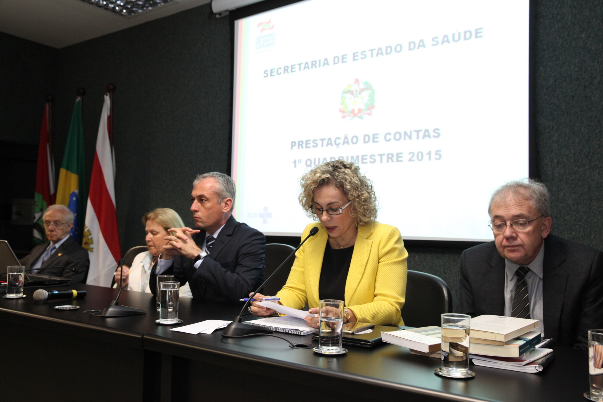 Secretaria da Saúde apresenta relatório parcial de 2015