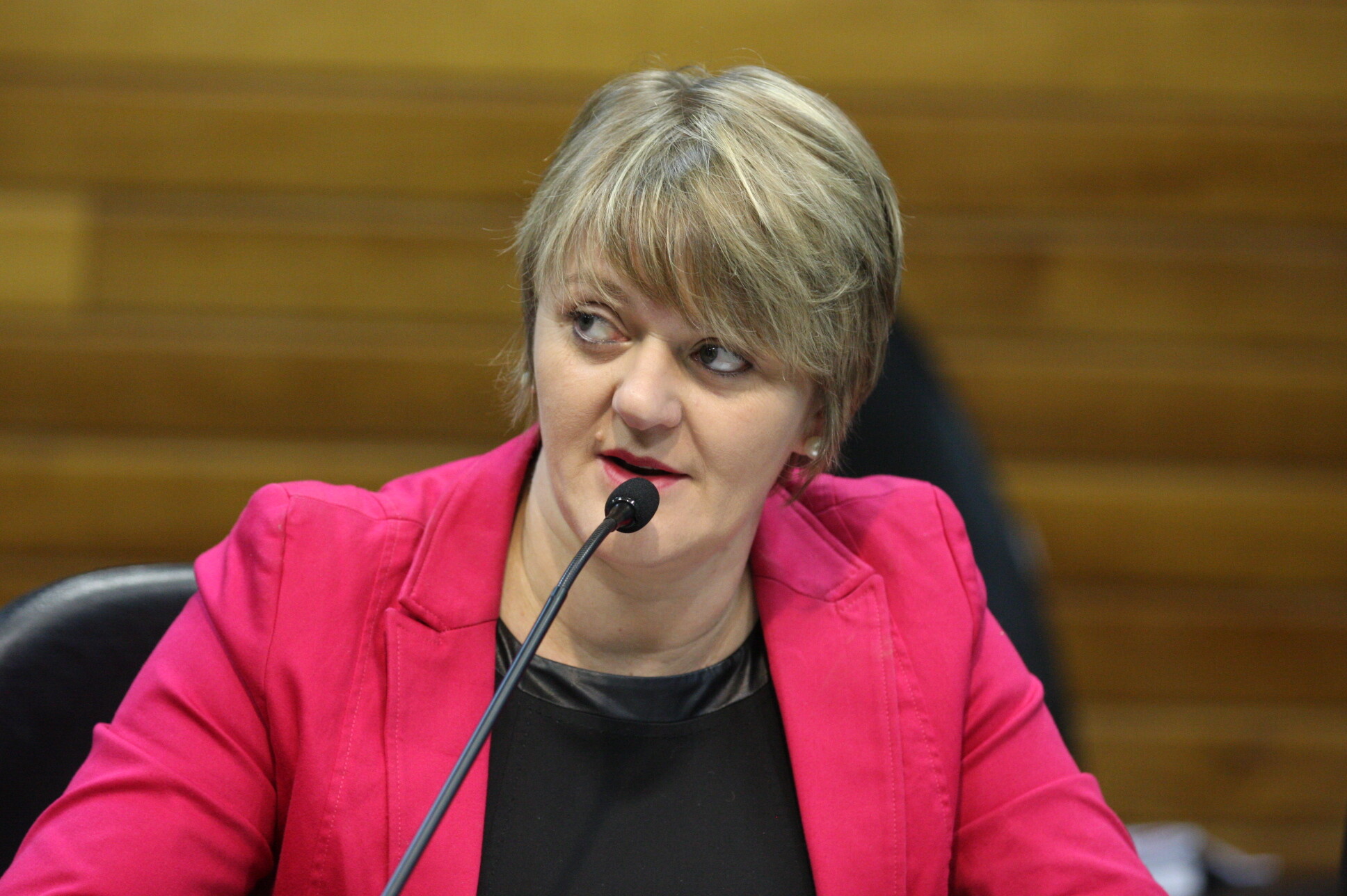 Deputada Luciane Carminatti