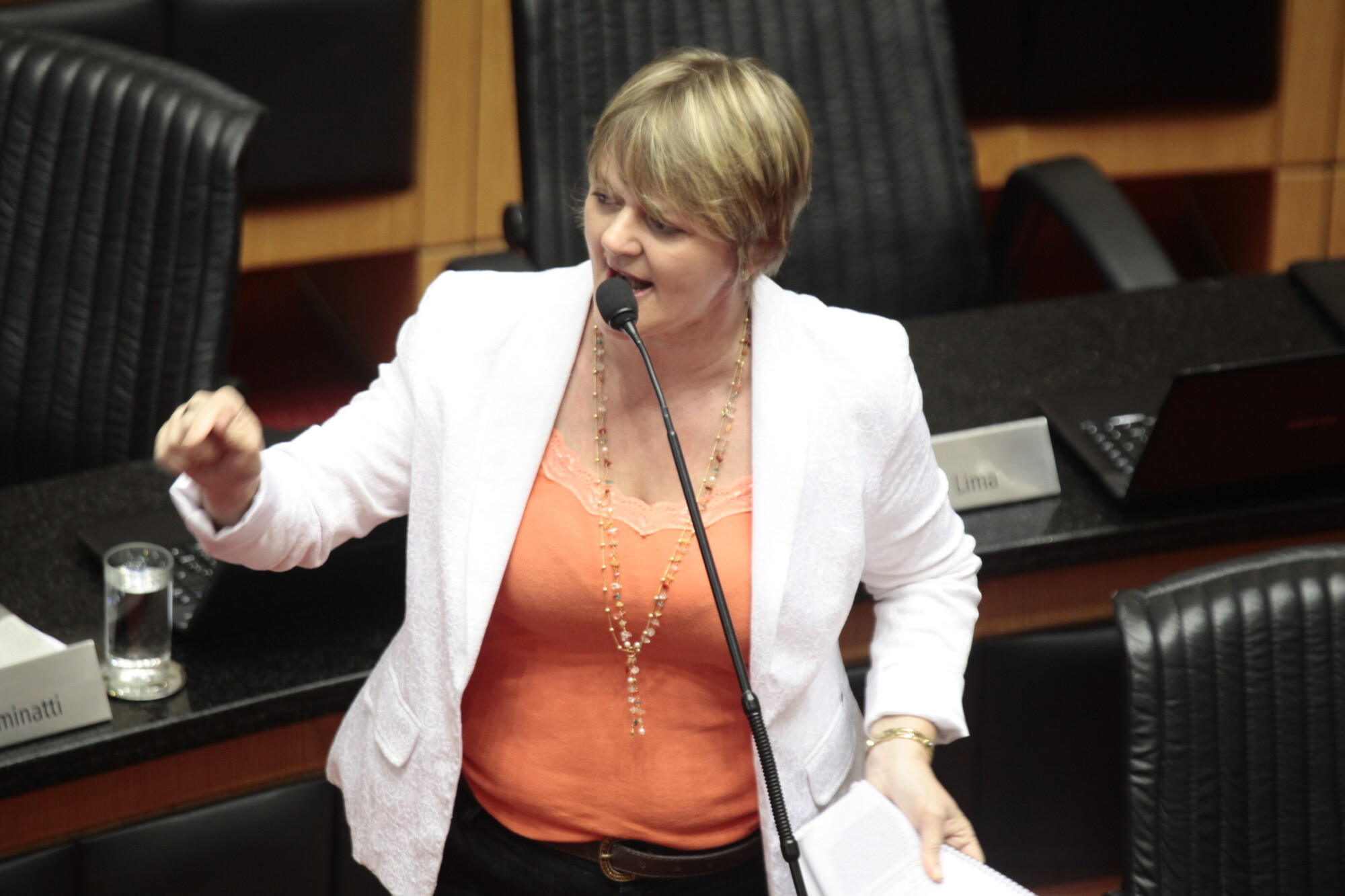 Deputada Luciane Carminatti