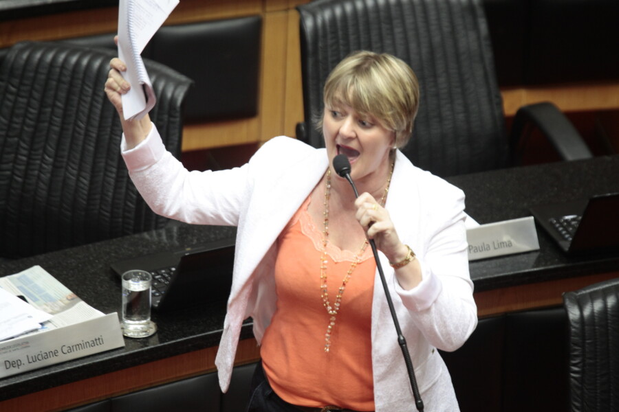 Deputada Luciane Carminatti