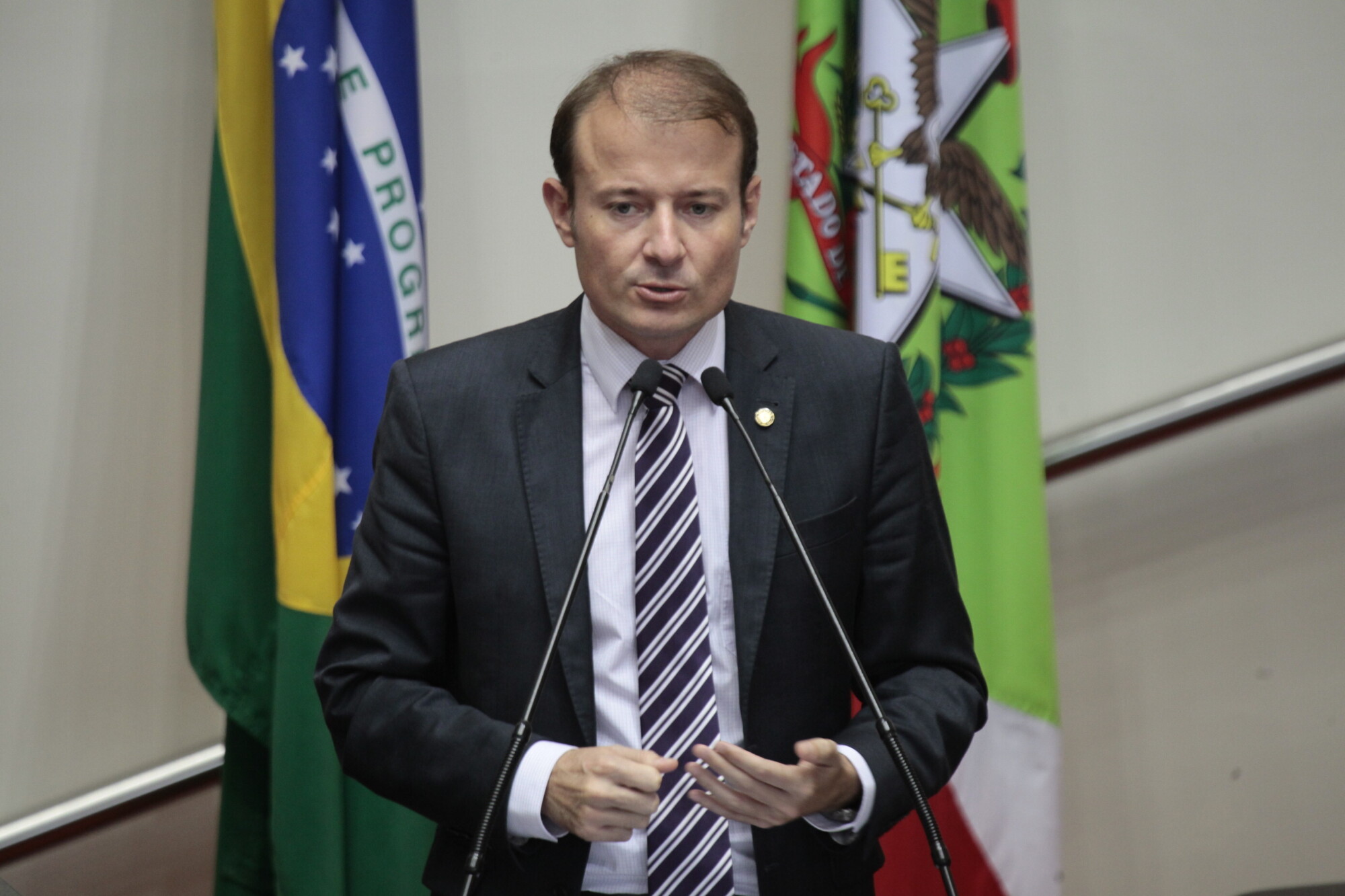 Deputado Gabriel Ribeiro