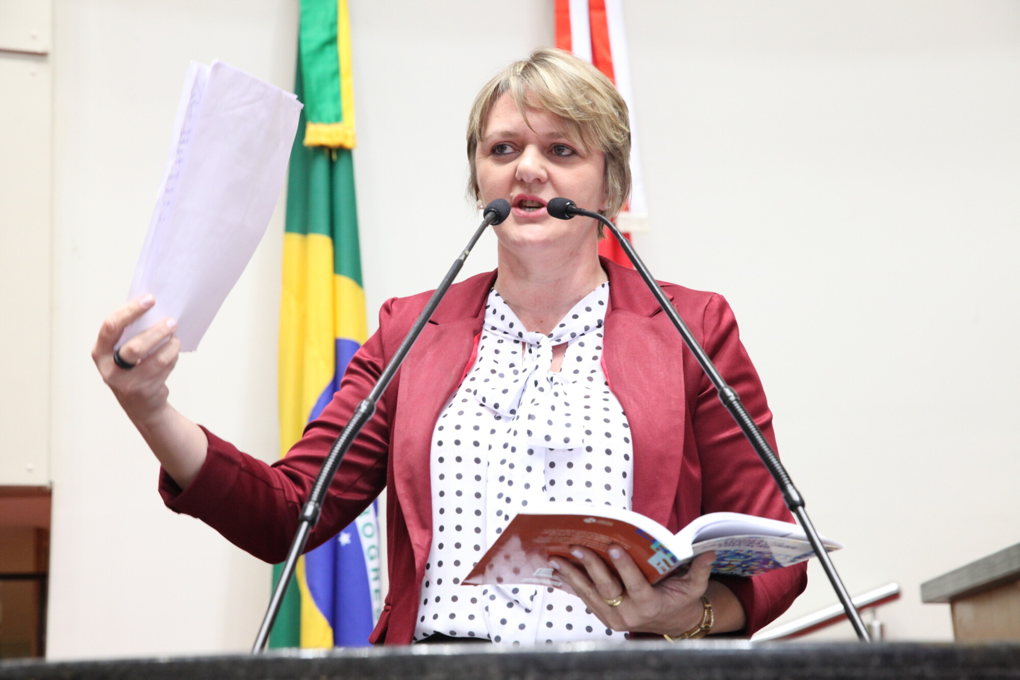 Luciane Carminatti já adiantou voto contrário ao projeto