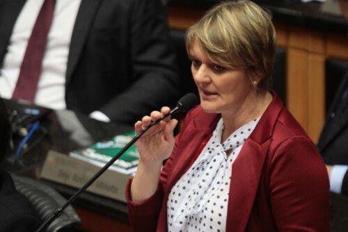 Deputada diz que PPA indica baixo investimento em políticas sociais