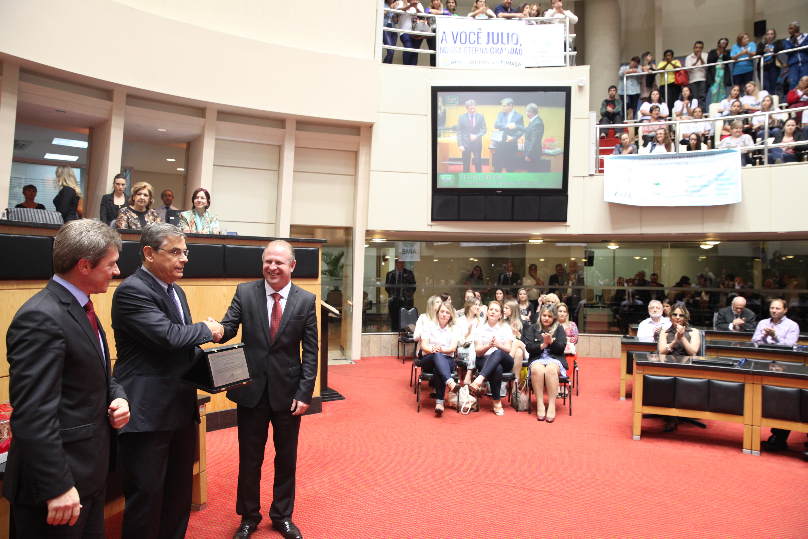 Sessão Especial em homenagem à passagem dos 10 Anos da Lei Júlio Garcia. Foto: Fábio Queiroz / Agência AL