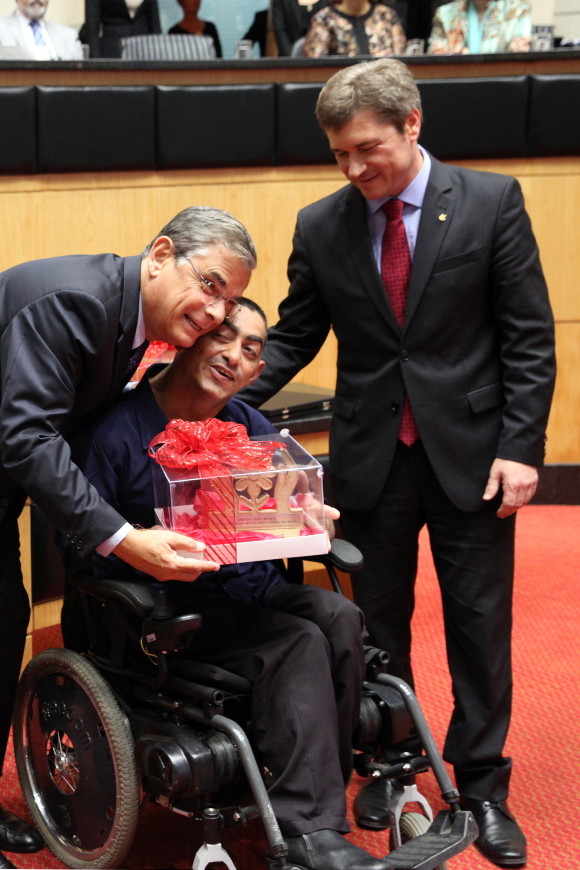 Sessão Especial em homenagem à passagem dos 10 Anos da Lei Júlio Garcia. Foto: Fábio Queiroz / Agência AL
