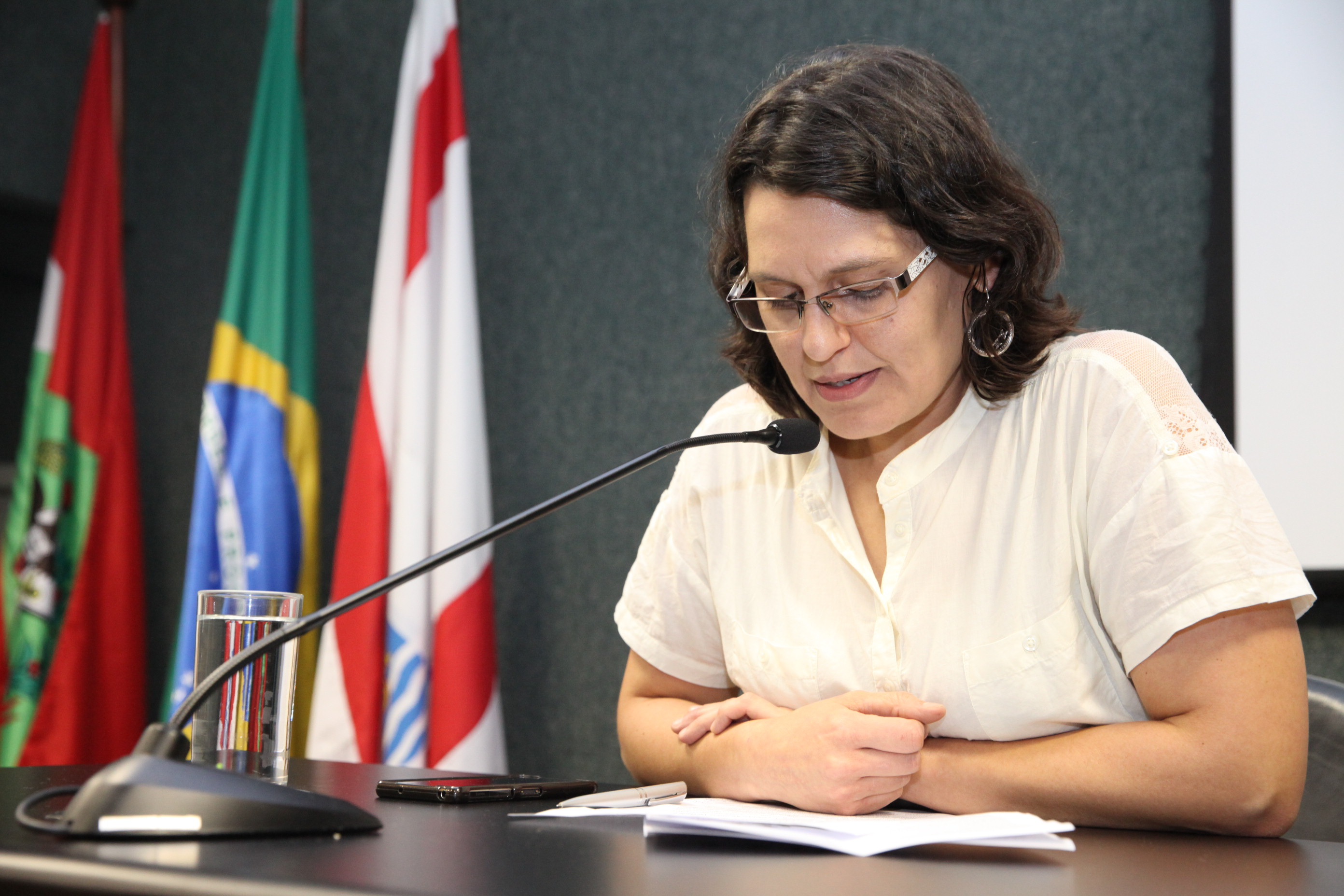 Silvia Agostini. Sessão Especial em homenagem a vítimas da ditadura militar. Foto: Fábio Queiroz / Agência AL