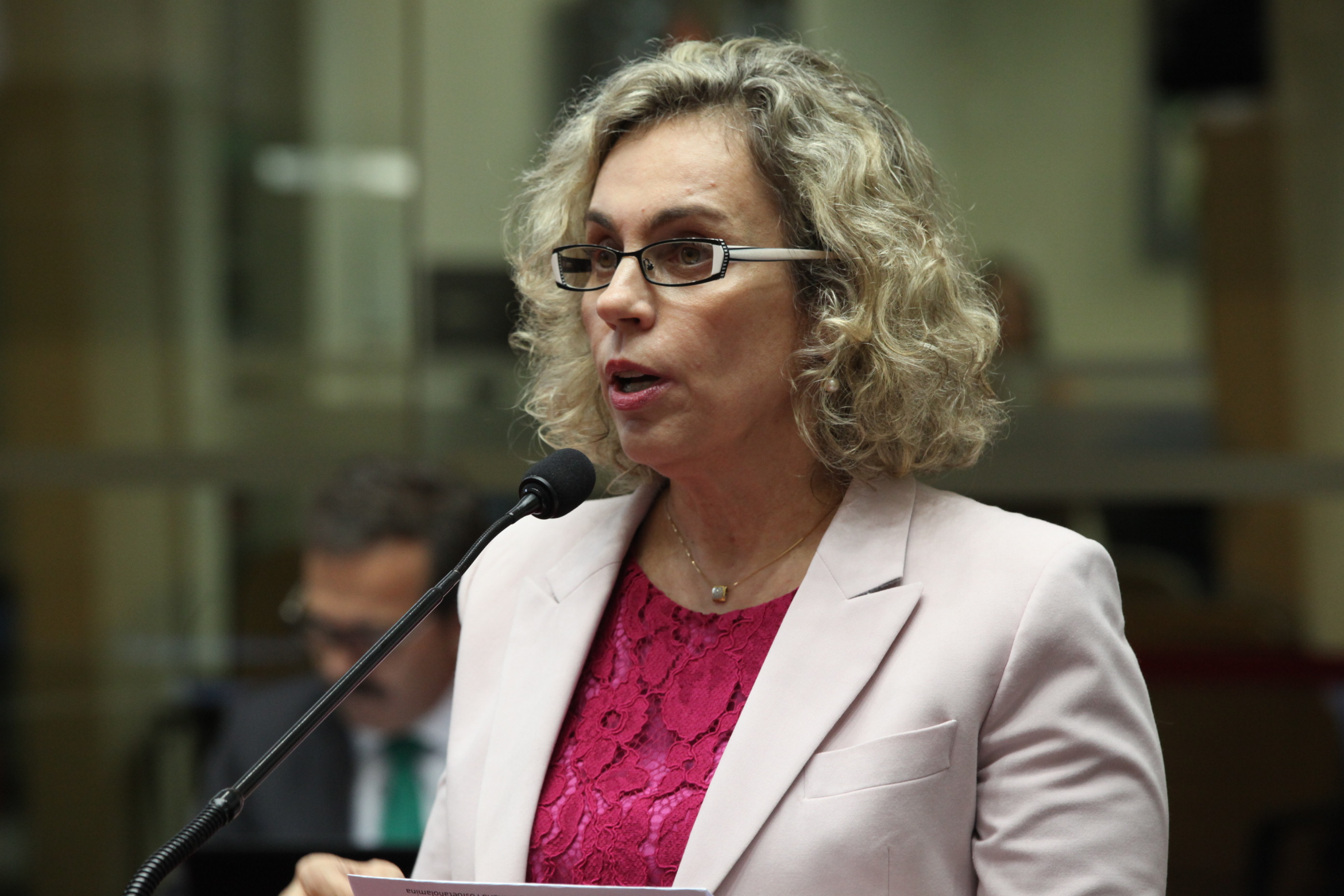 Sessão Ordinária - Deputada Ana Paula Lima (PT)