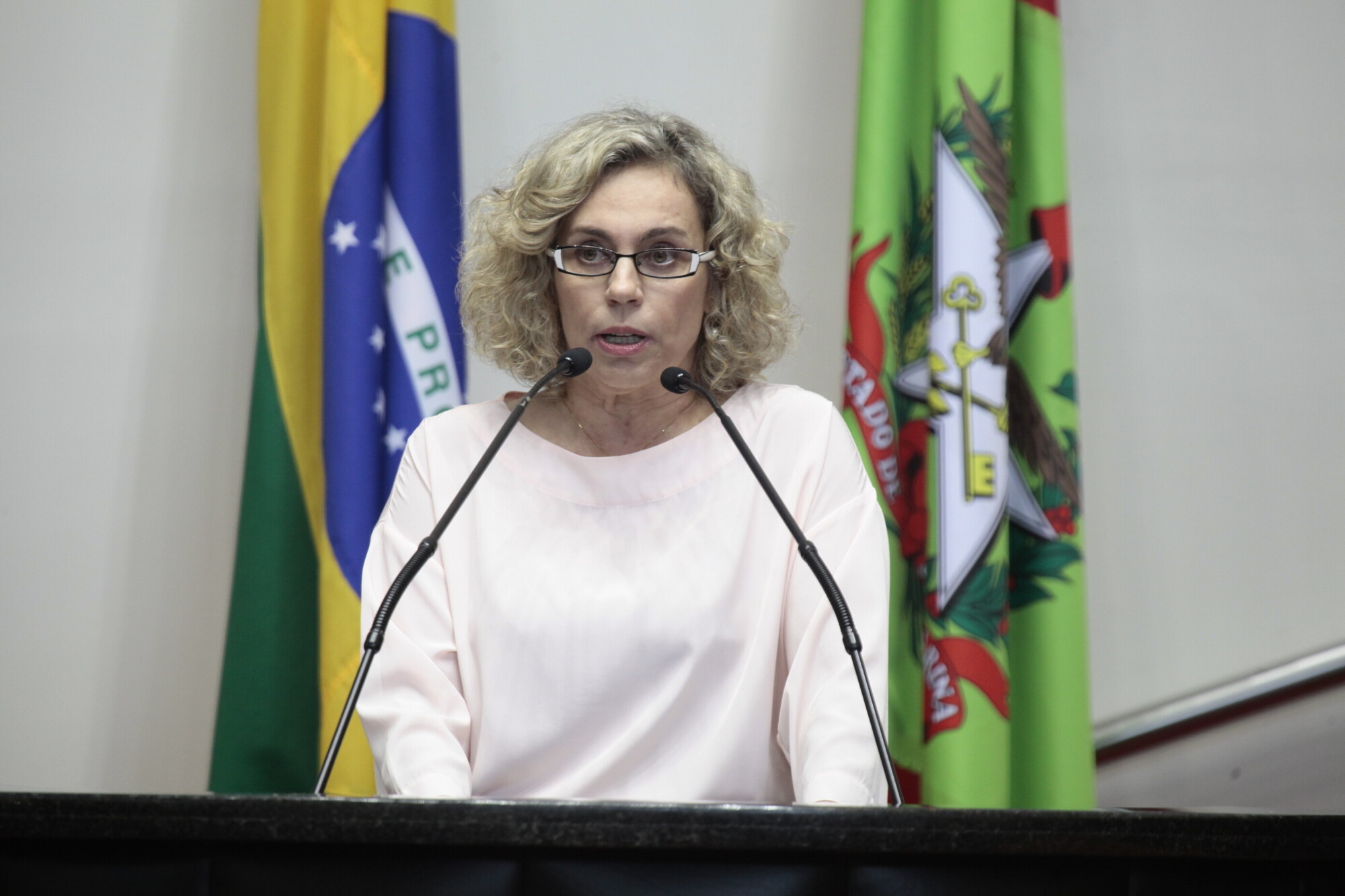 Deputada Ana Paula Lima