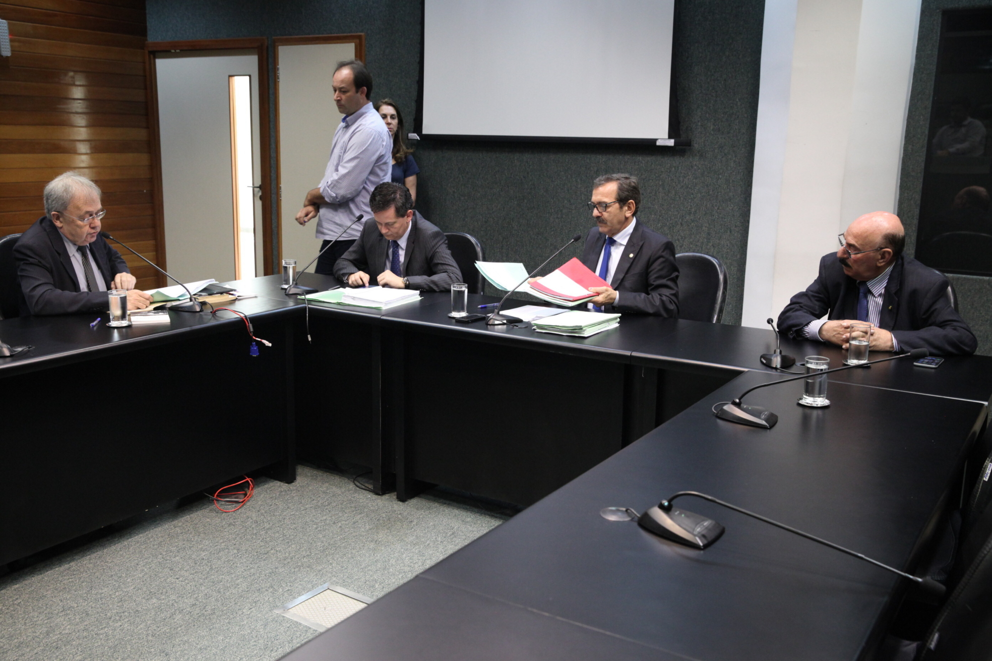Comissão aprova PL que estabelece limites para plantio de árvores junto à rede elétrica
