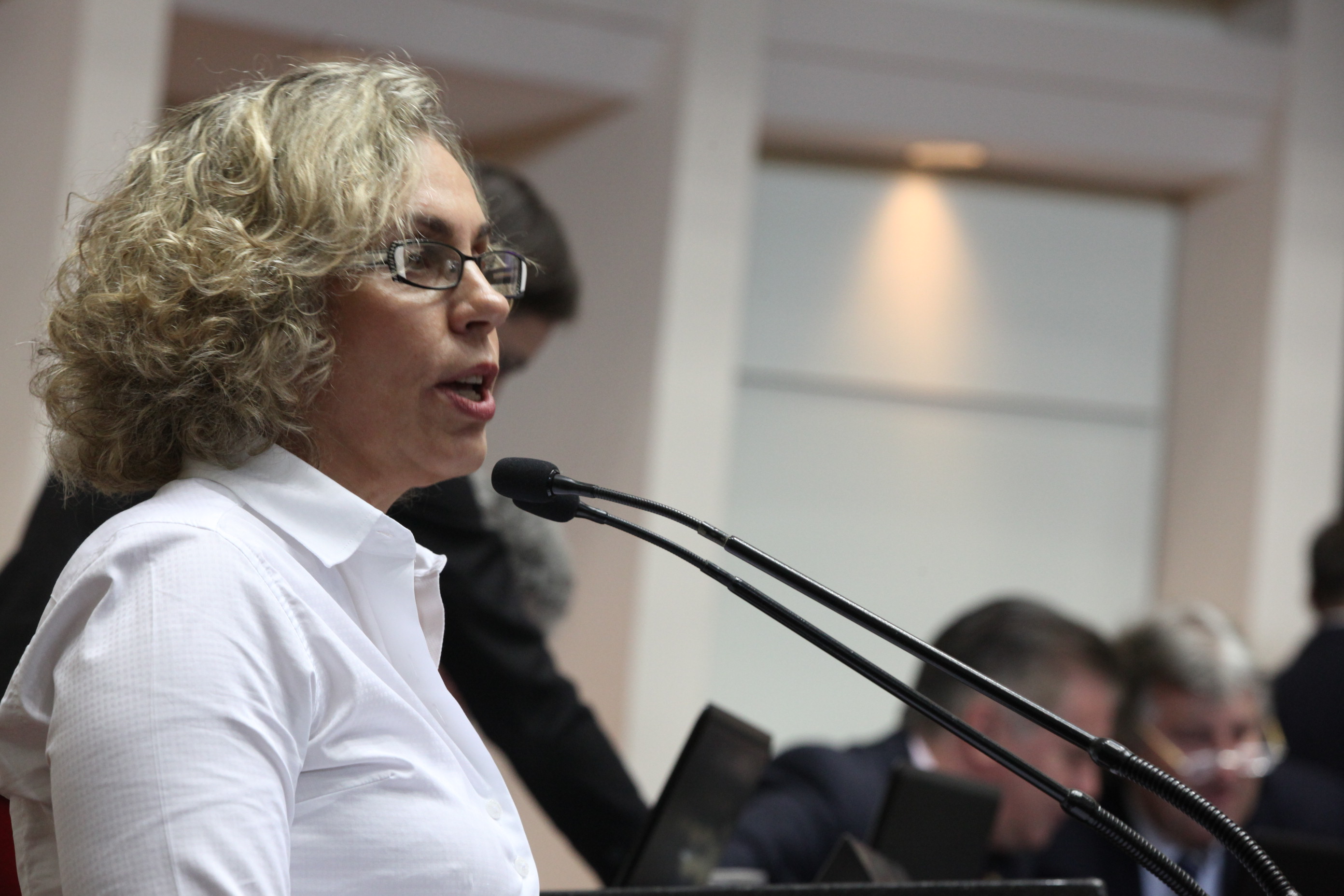 Sessão Ordinária da Assembleia Legislativa do Estado de Santa Catarina. Deputada Ana Paula Lima (PT)