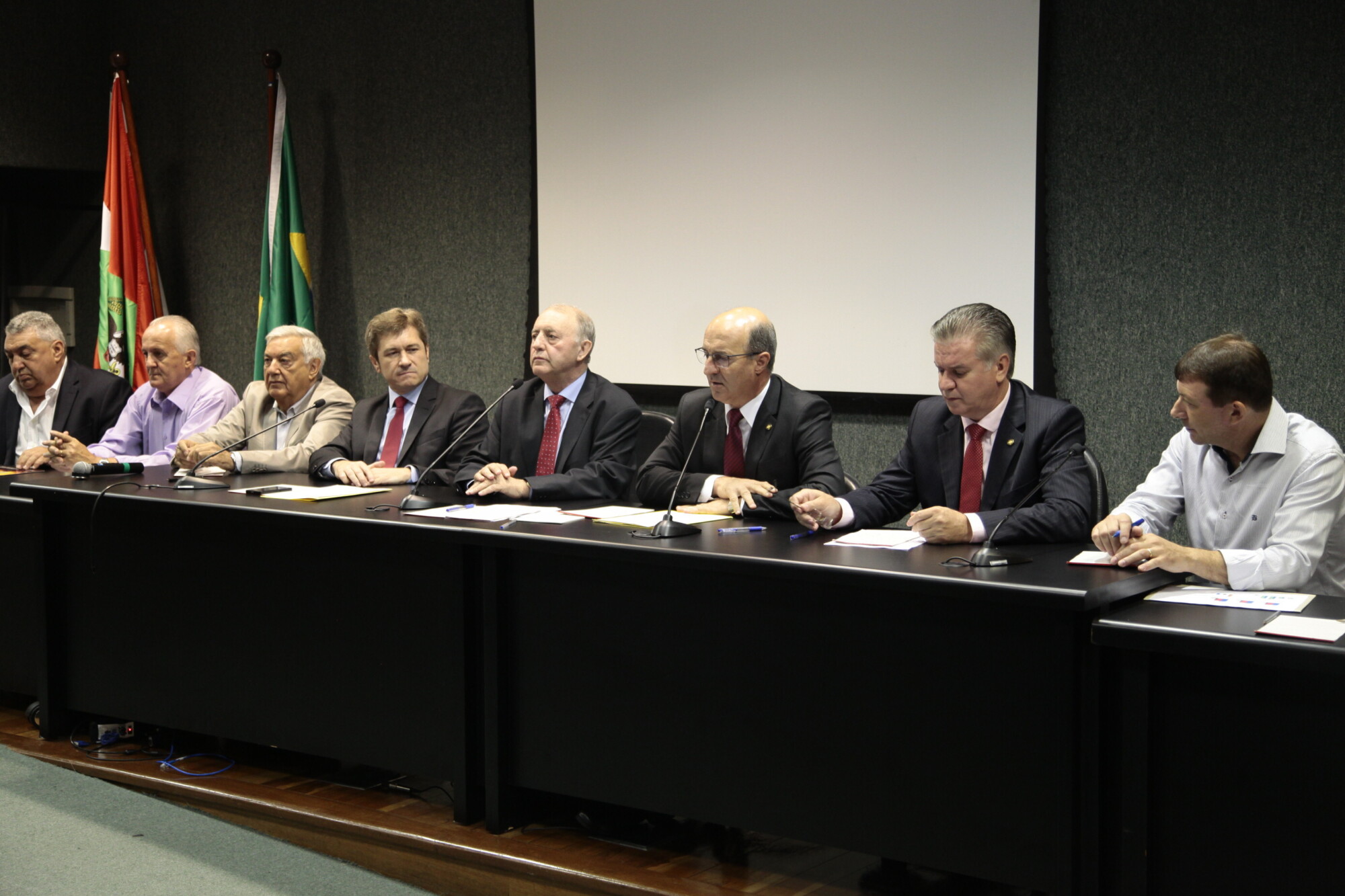Parlamentares e suinocultores pedem atenção do governo para o setor