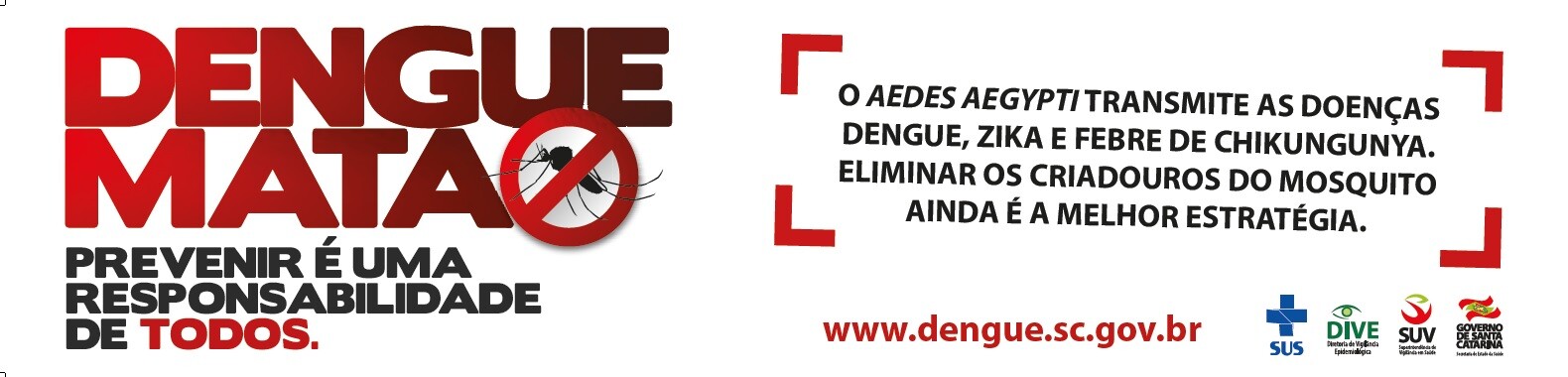 FOTO: Dive/Divulgação