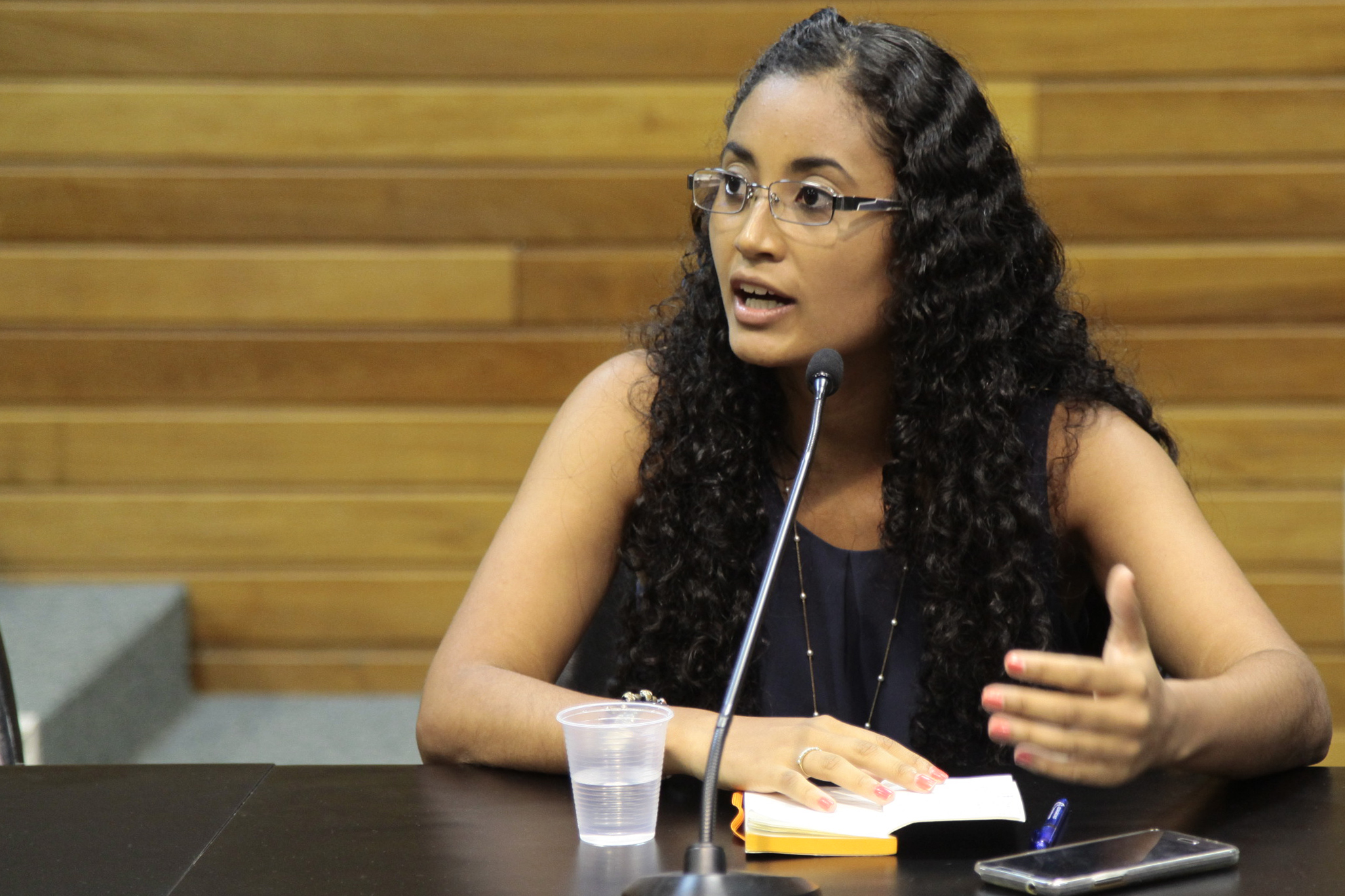 Reunião do Grupo de Trabalho dos Imigrantes organizado pela Comissão dos Direitos Humanos. Tamajara da Silva.