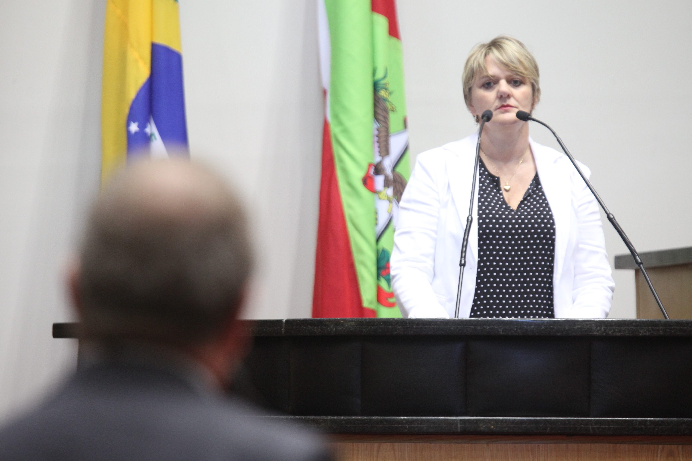 Sessão Ordinária. Deputada Luciane Carminatti (PT)