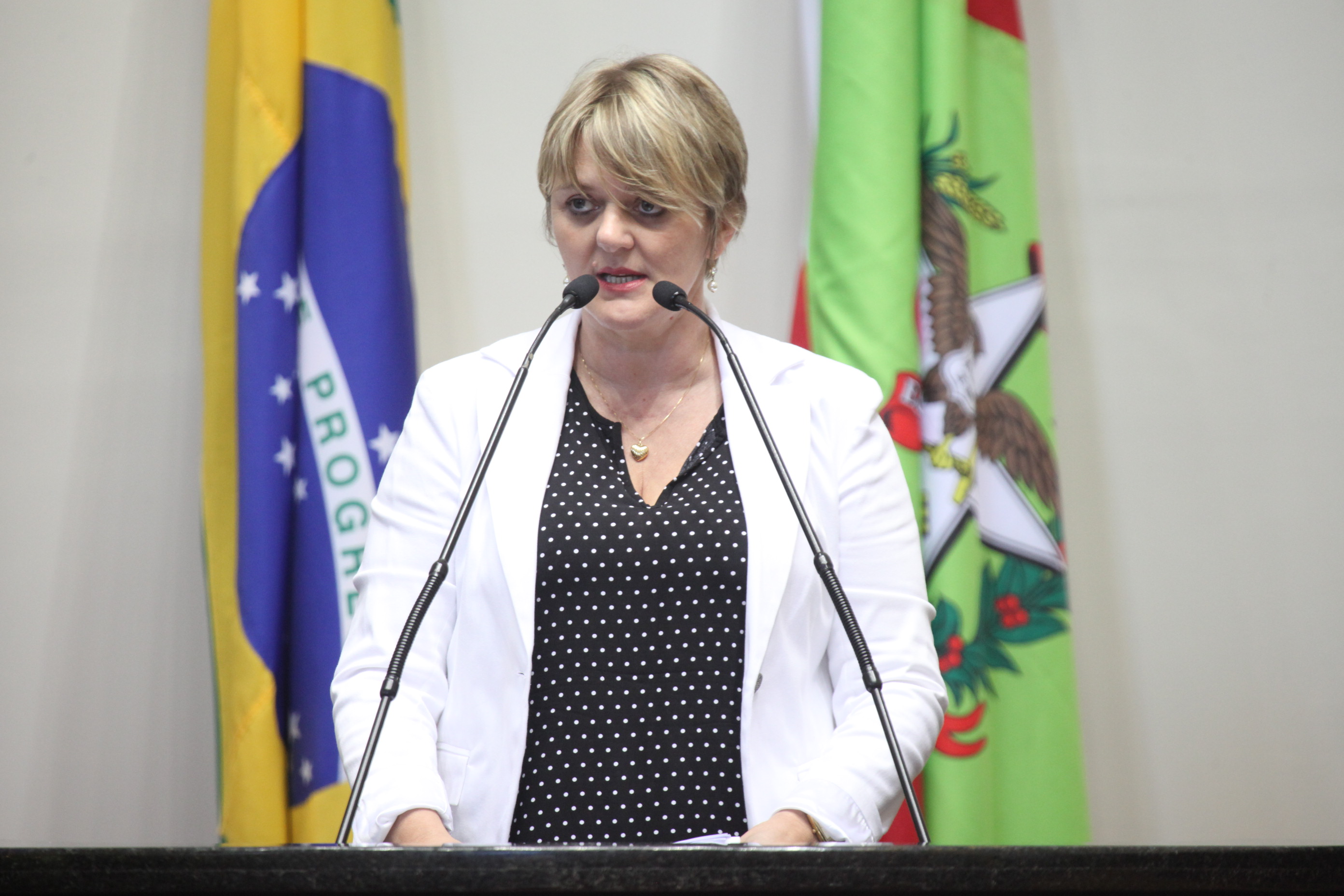 Sessão Ordinária. Deputada Luciane Carminatti (PT)