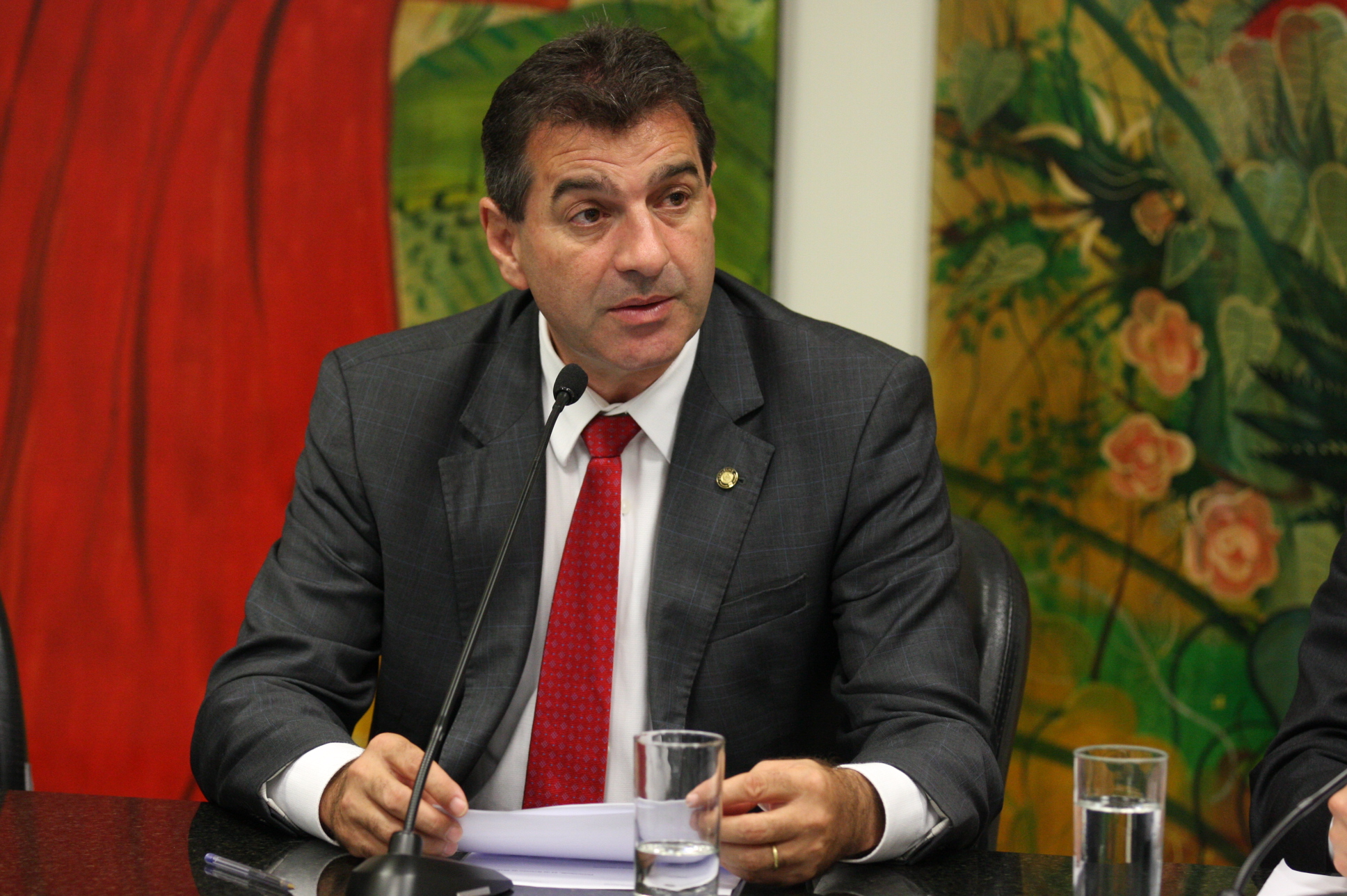 Comissão de Educação Cultura e Desporto. Deputado Valdir Cobalchini (PMDB). Foto: Yuri Santos / Agência AL