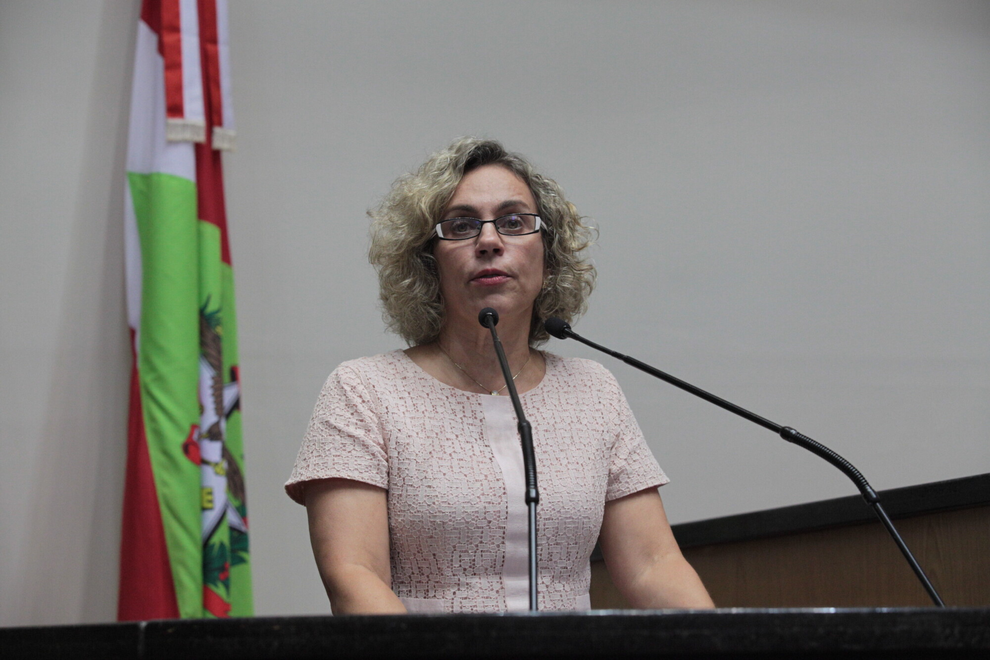 Deputada Ana Paula Lima