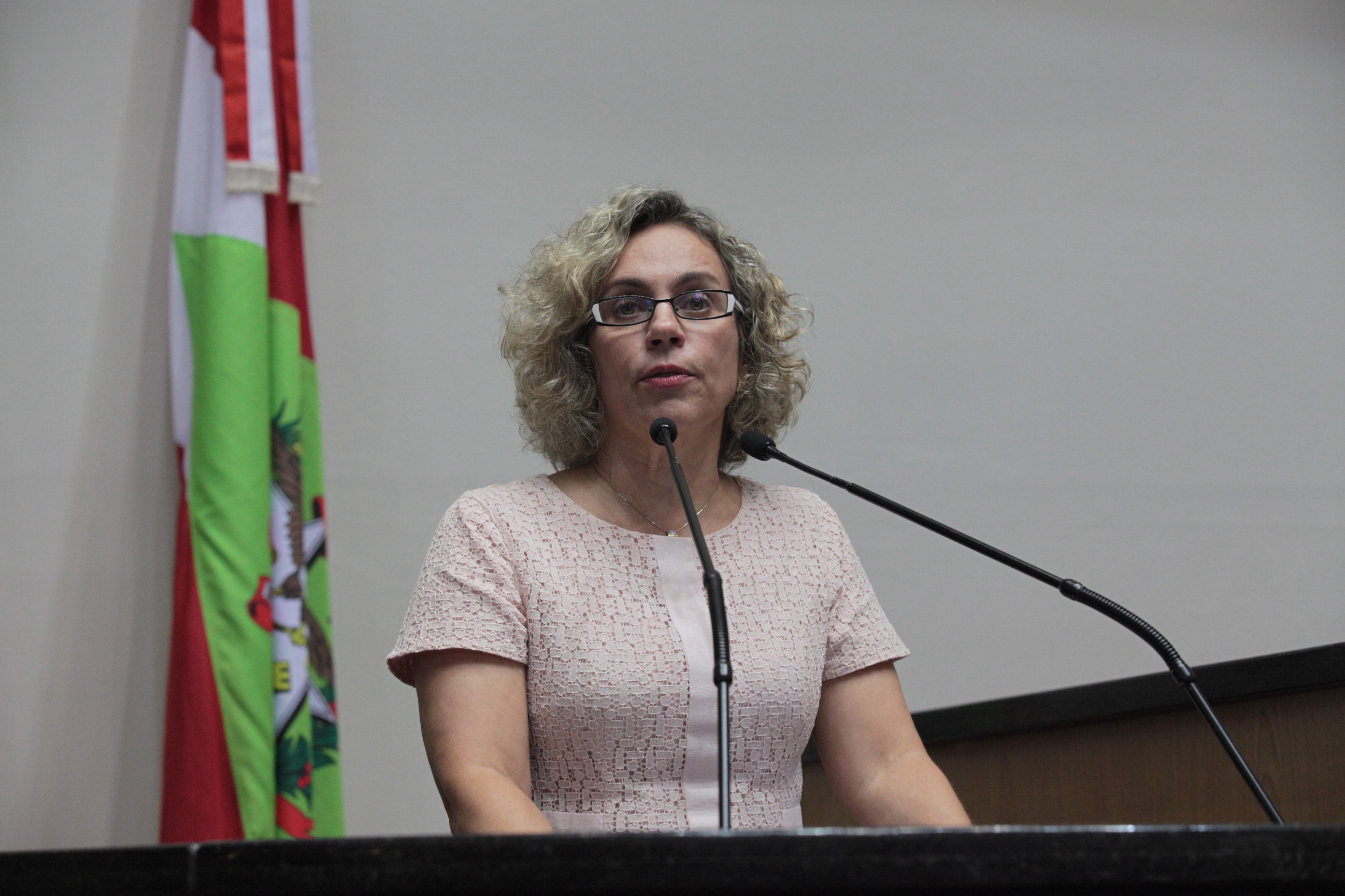 Sessão Ordinária. Deputada Ana Paula Lima (PT)