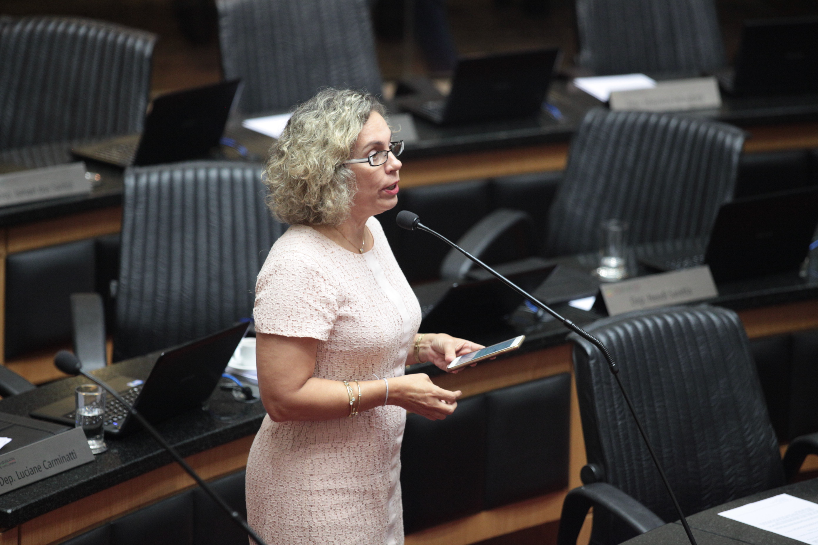 Sessão Ordinária. Deputada Ana Paula Lima (PT)