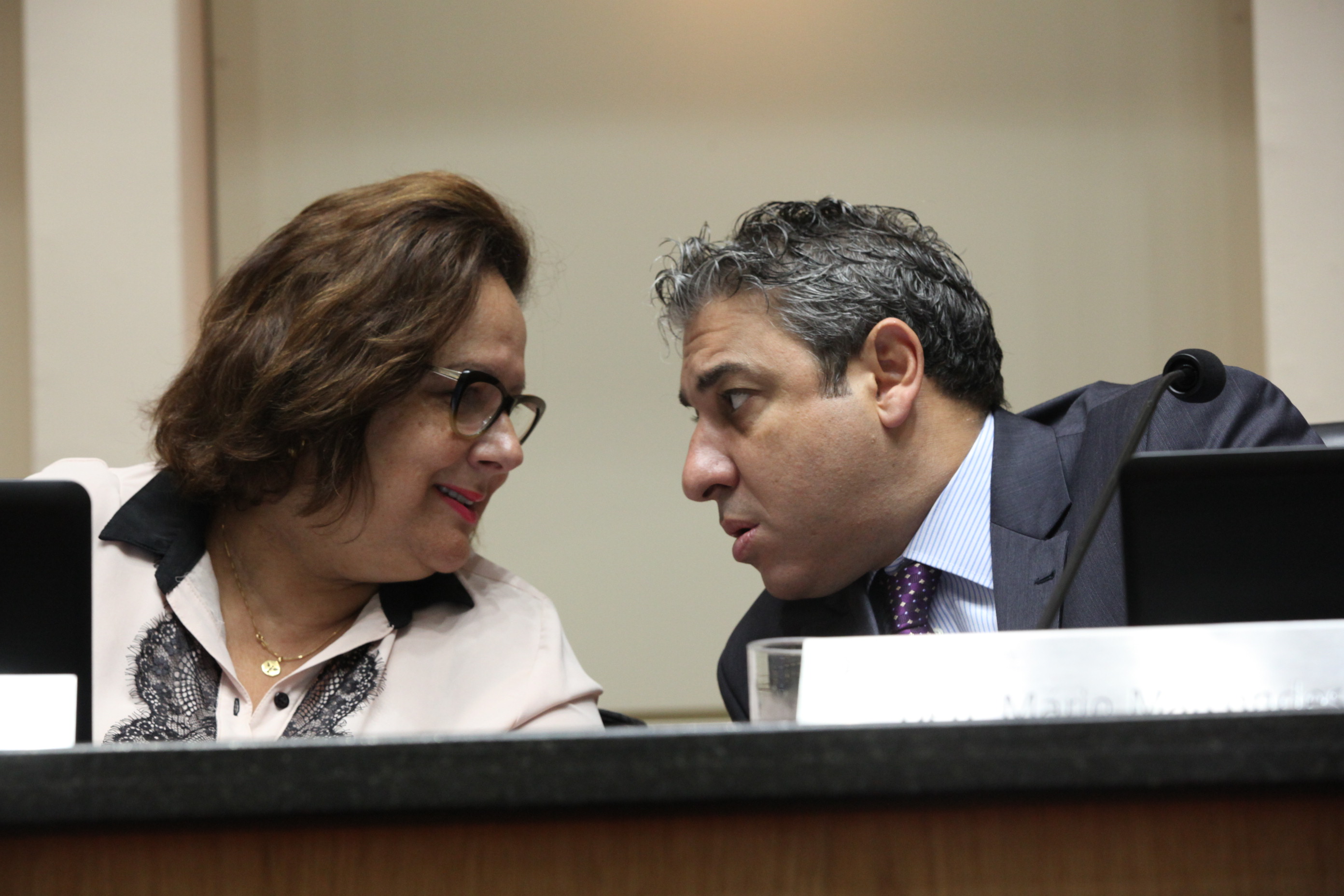 Sessão Ordinária. Foto: Eduardo Guedes / Agência AL