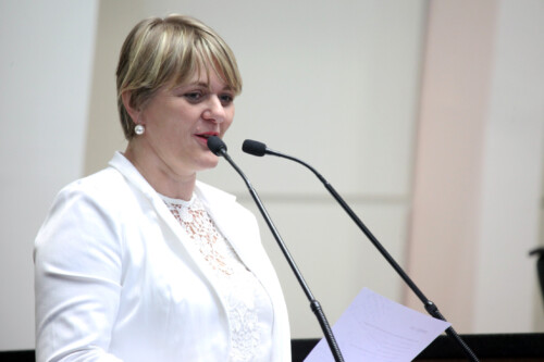 Deputada elenca pauta discutida com mulheres de Chapecó e SMO