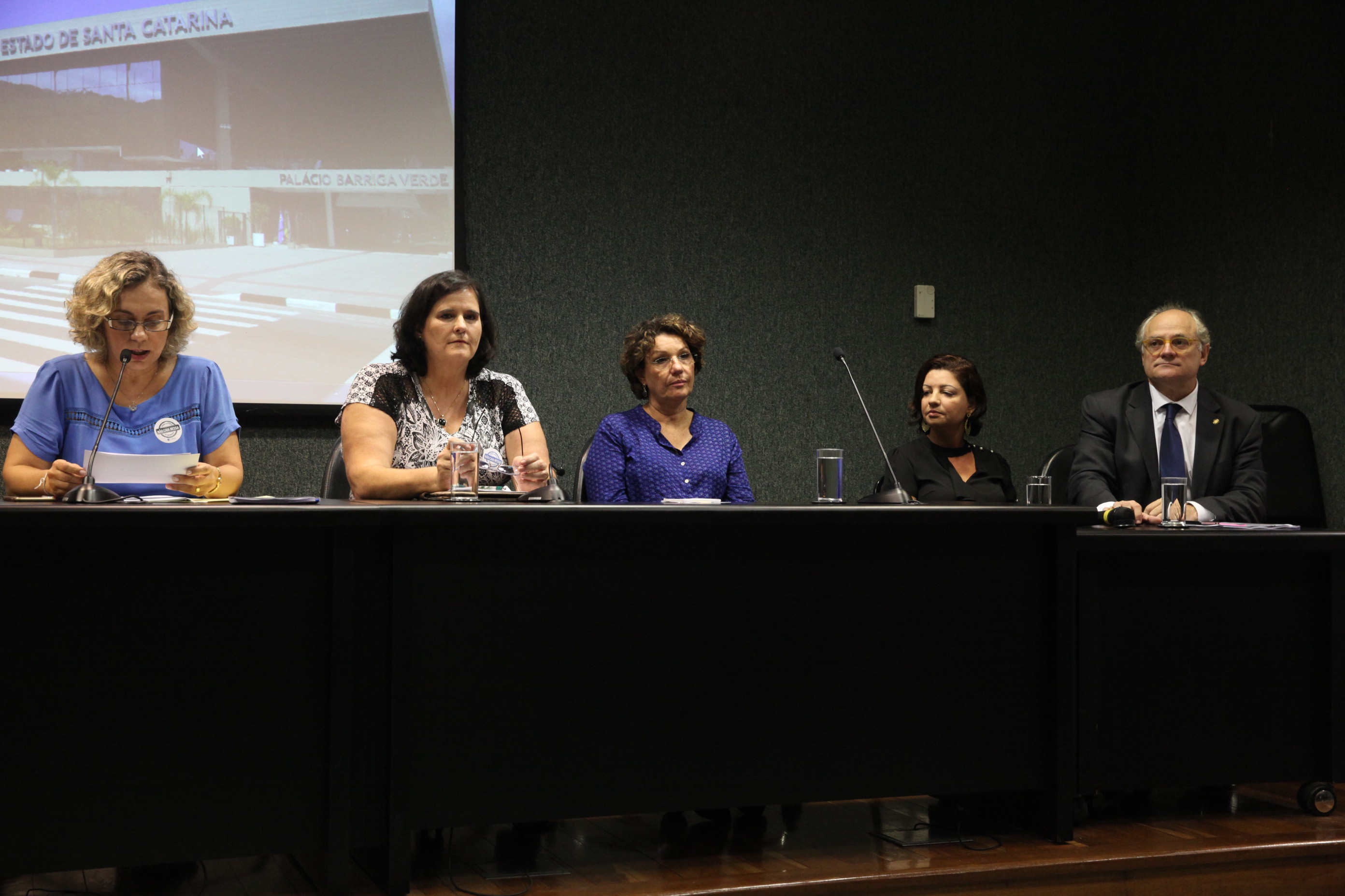 Audiência Pública - Formação por EAD. Foto: Eduardo Guedes / Agência AL