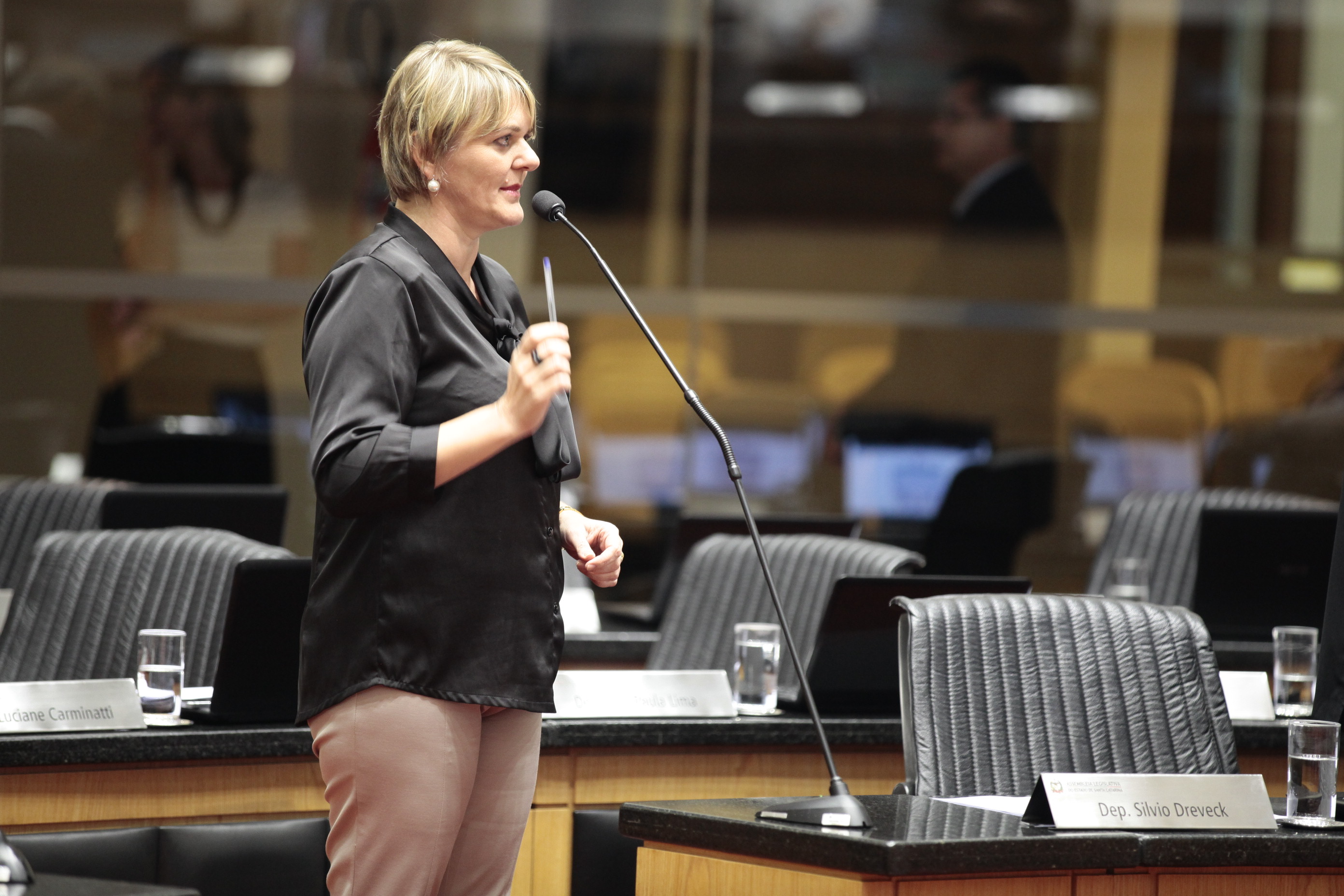 Sessão Ordinária. Deputada Luciane Carminatti (PT)