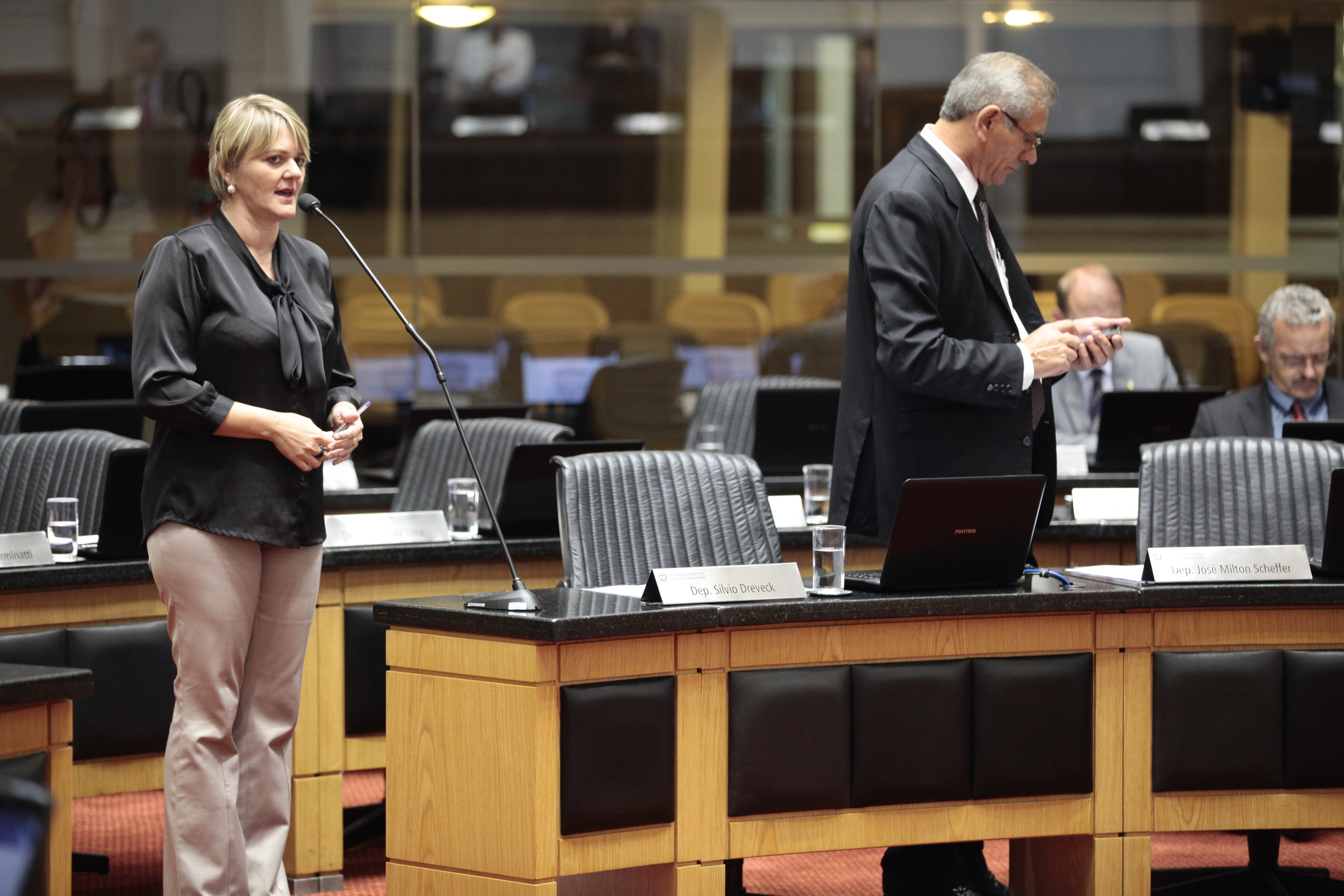 Sessão Ordinária. Deputada Luciane Carminatti (PT)