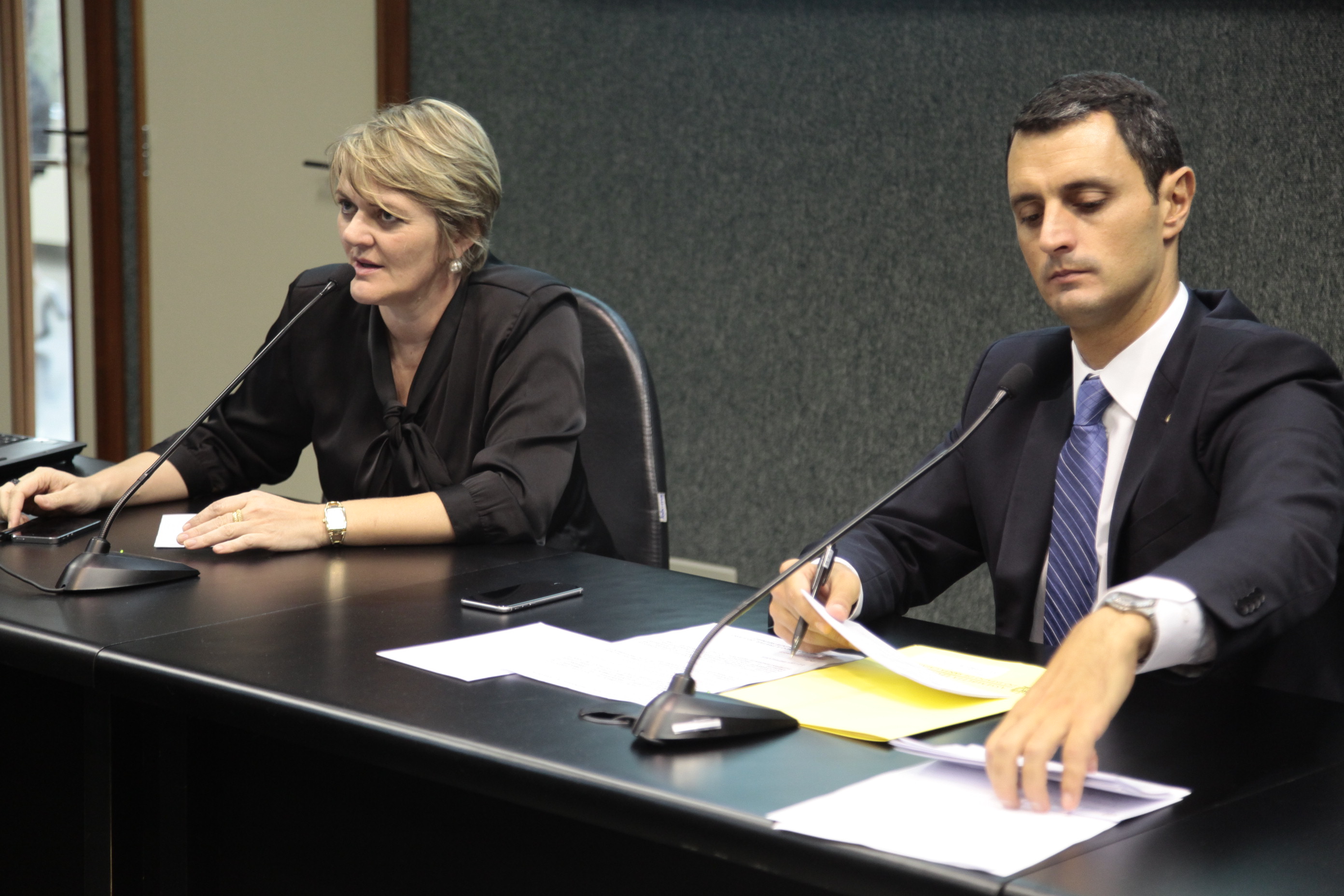 Reunião da Comissão de Transportes e Desenvolvimento Urbano.