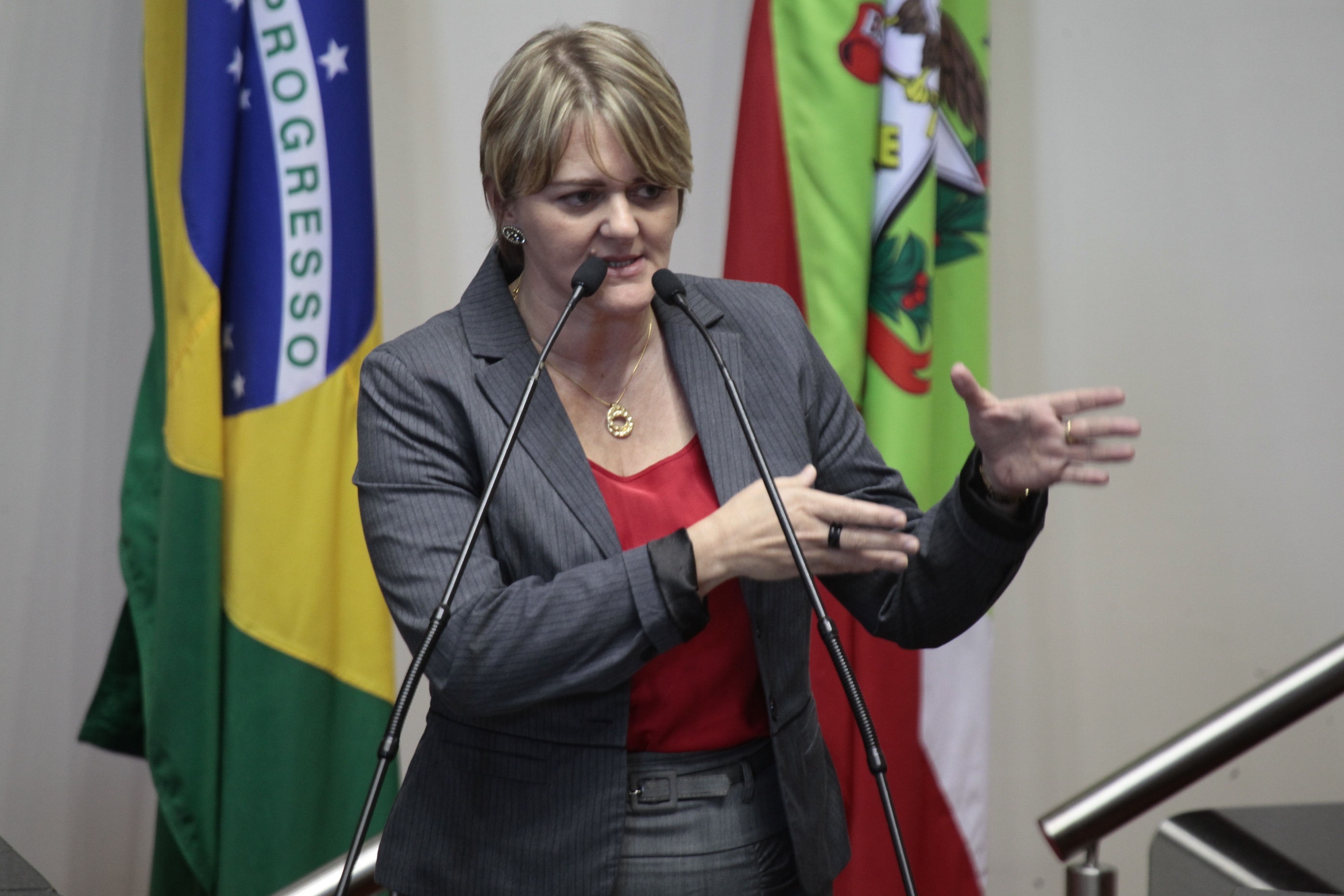 Sessão Ordinária. Deputada Luciane Carminatti (PT)