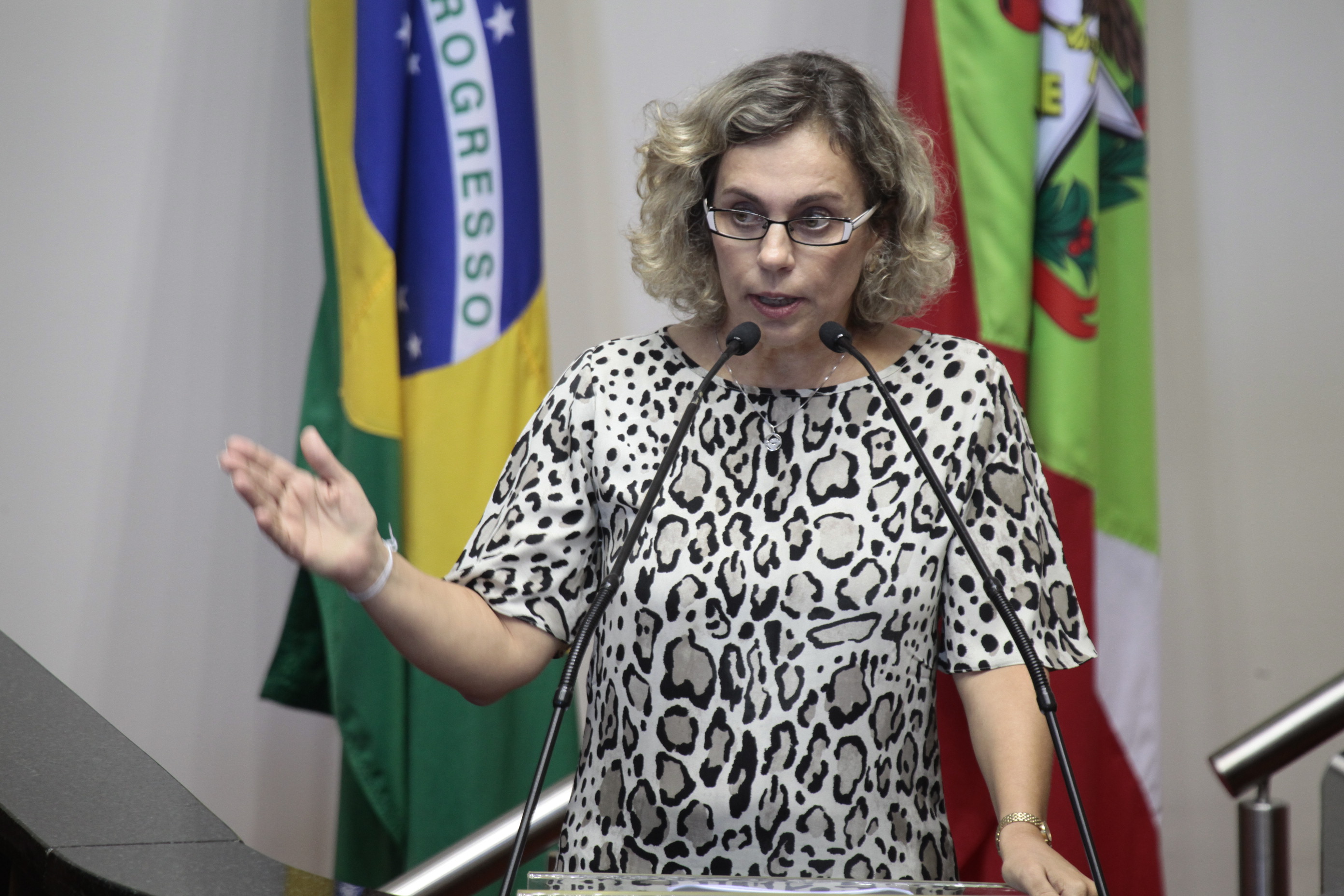 Sessão Ordinária. Deputada Ana Paula Lima (PT)