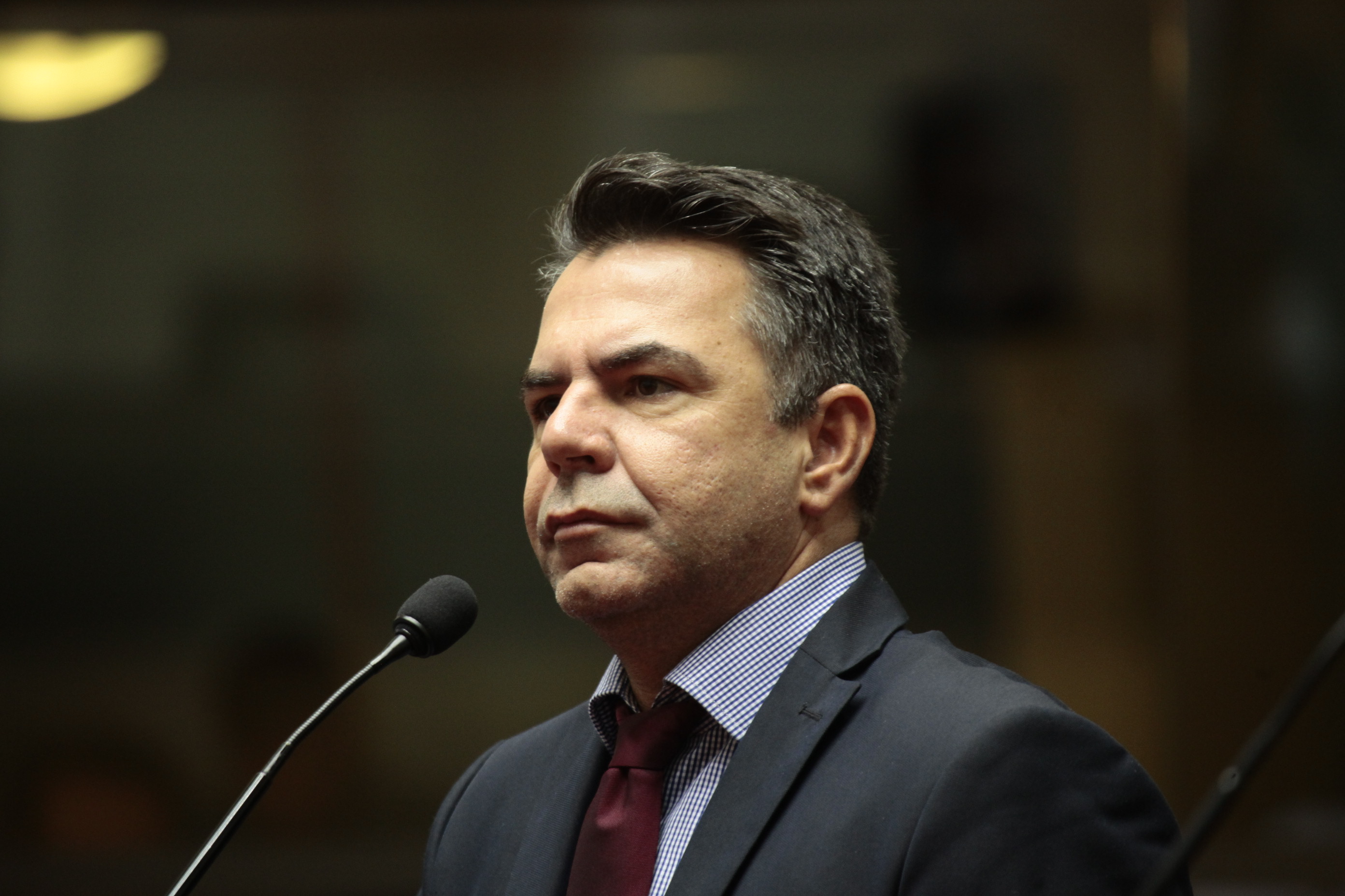 Sessão Ordinária. Deputado Luiz Fernando Vampiro (PMDB). Foto: Eduardo Guedes / Agência AL