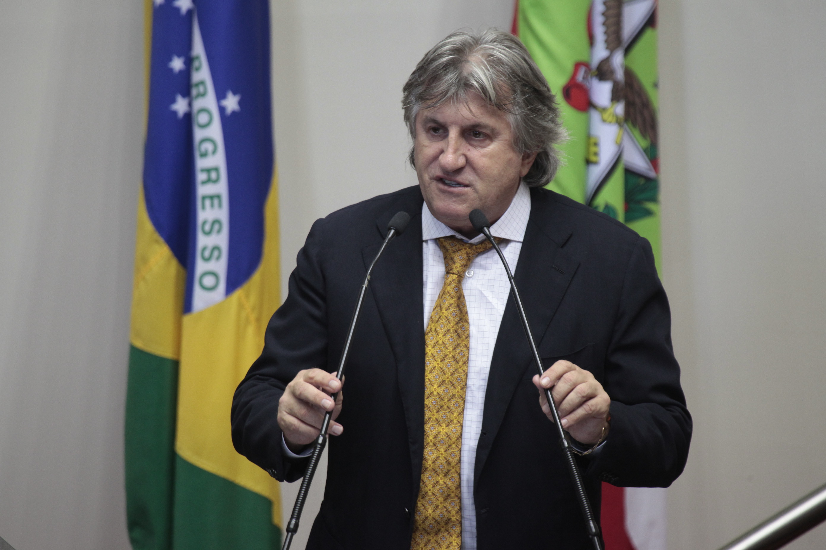Sessão Ordinária. Deputado Leonel Pavan (PSDB)