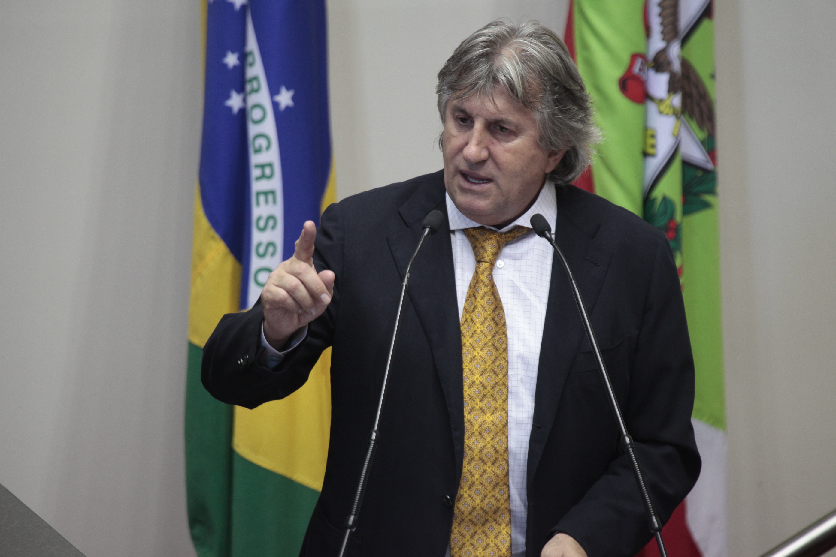 Sessão Ordinária. Deputado Leonel Pavan (PSDB)