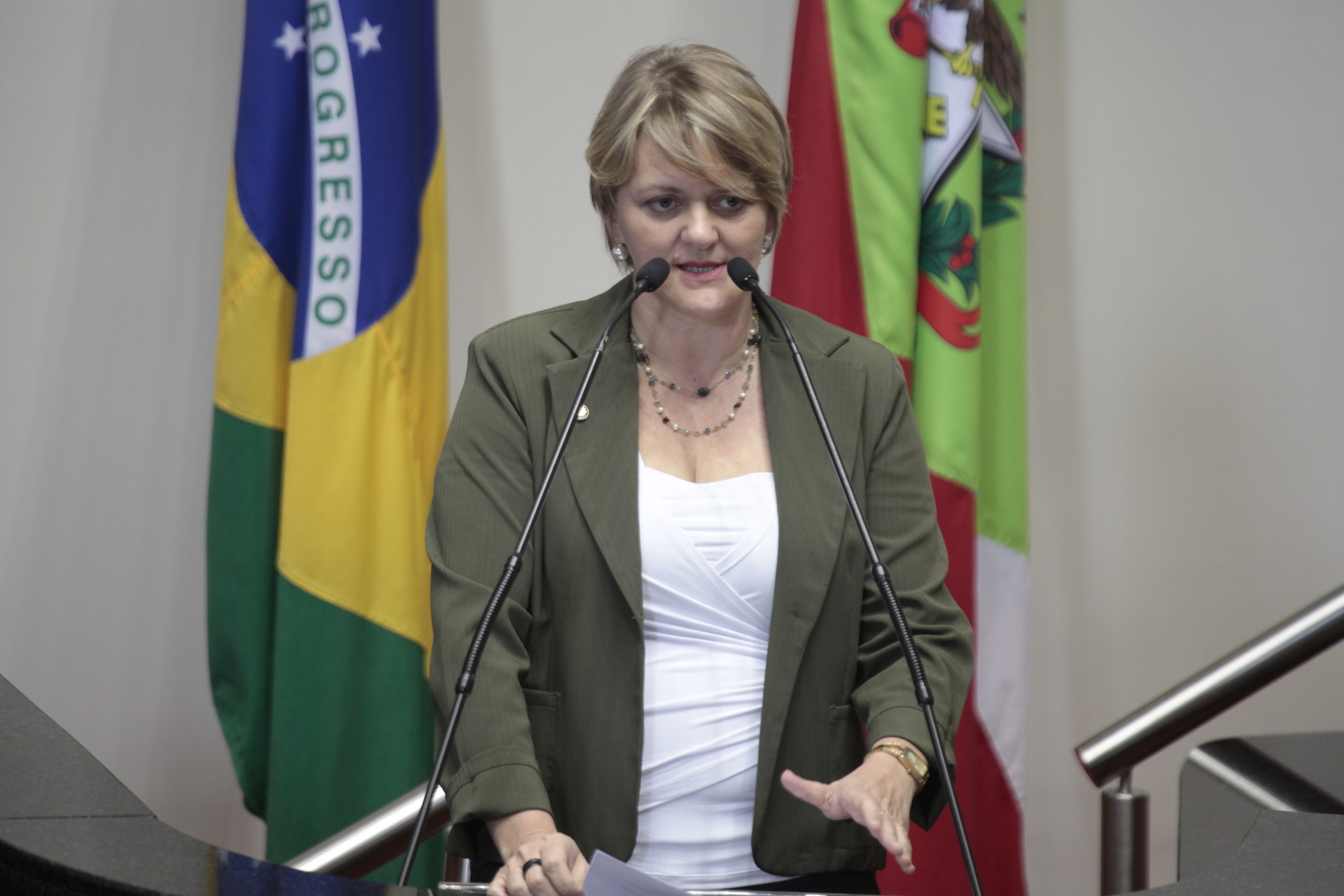Sessão Ordinária. Deputada Luciane Carminatti (PT)