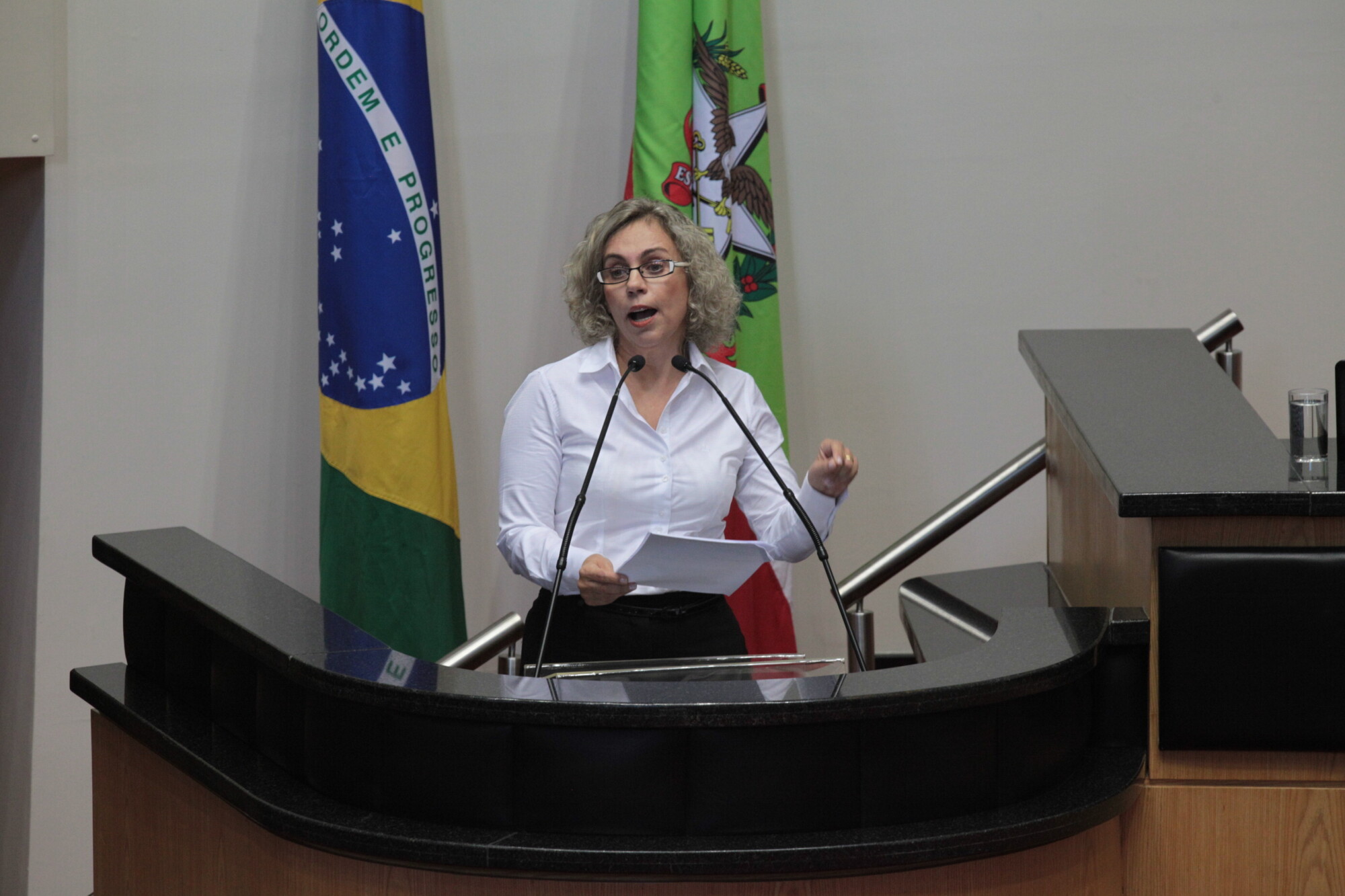 Deputada Ana Paula Lima