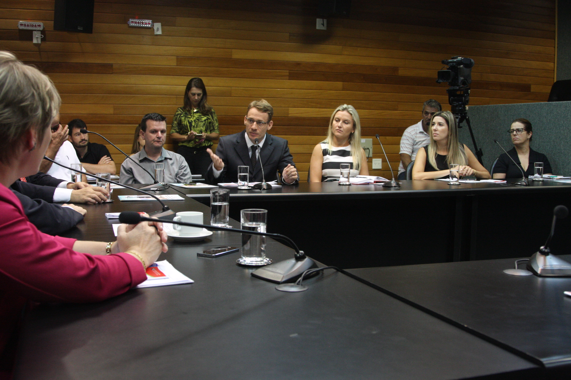 Comissão de Defesa dos Direitos da Pessoa com Deficiência. Foto: Yuri Santos / Agência AL