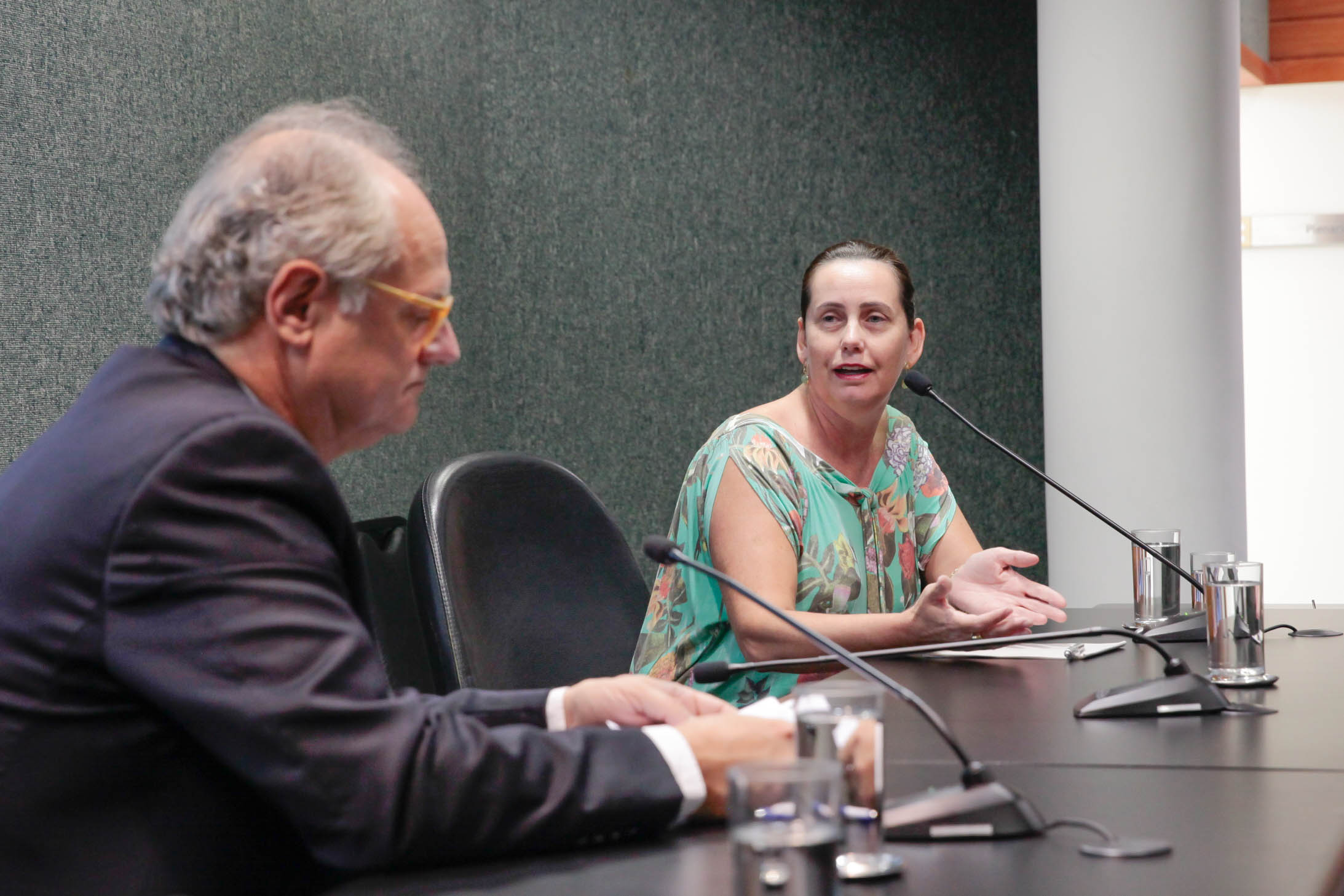 Comissão de Saúde - Audiência Pública sobre a prevenção da proliferação do mosquito da dengue. Foto: Luis Gustavo Debiasi/Agência AL