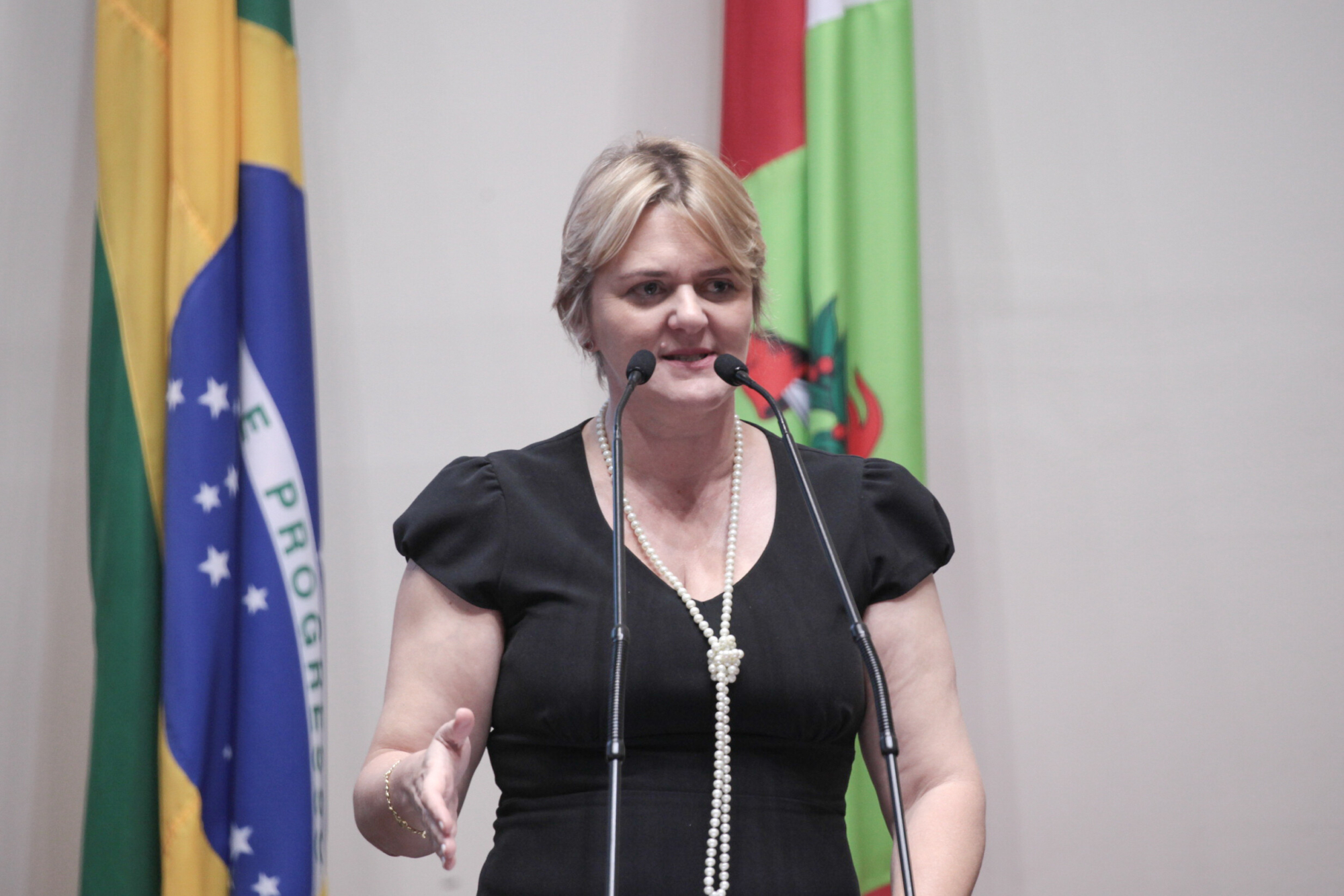 Parlamento aprova projeto para prevenção da violência doméstica
