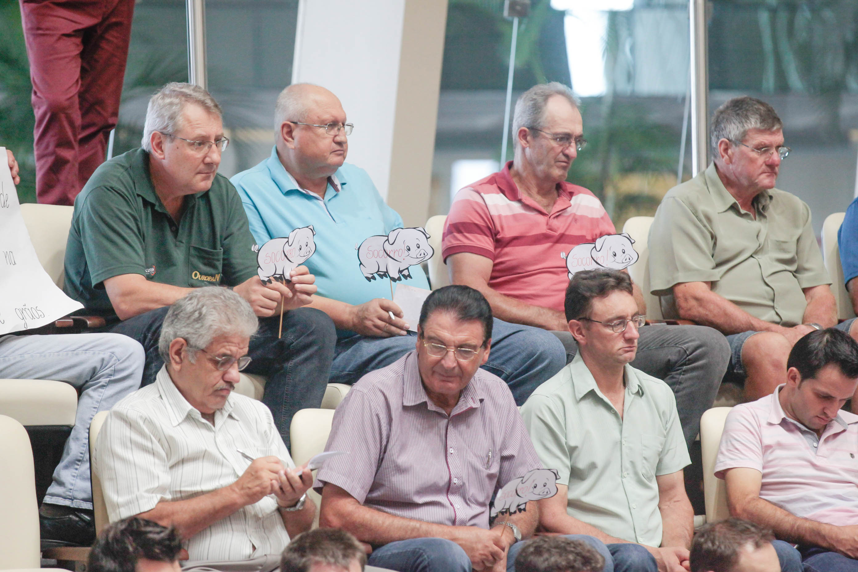O Atual Cenário da Suinocultura Catarinense. Foto: Luis Gustavo Debiasi / Agência AL