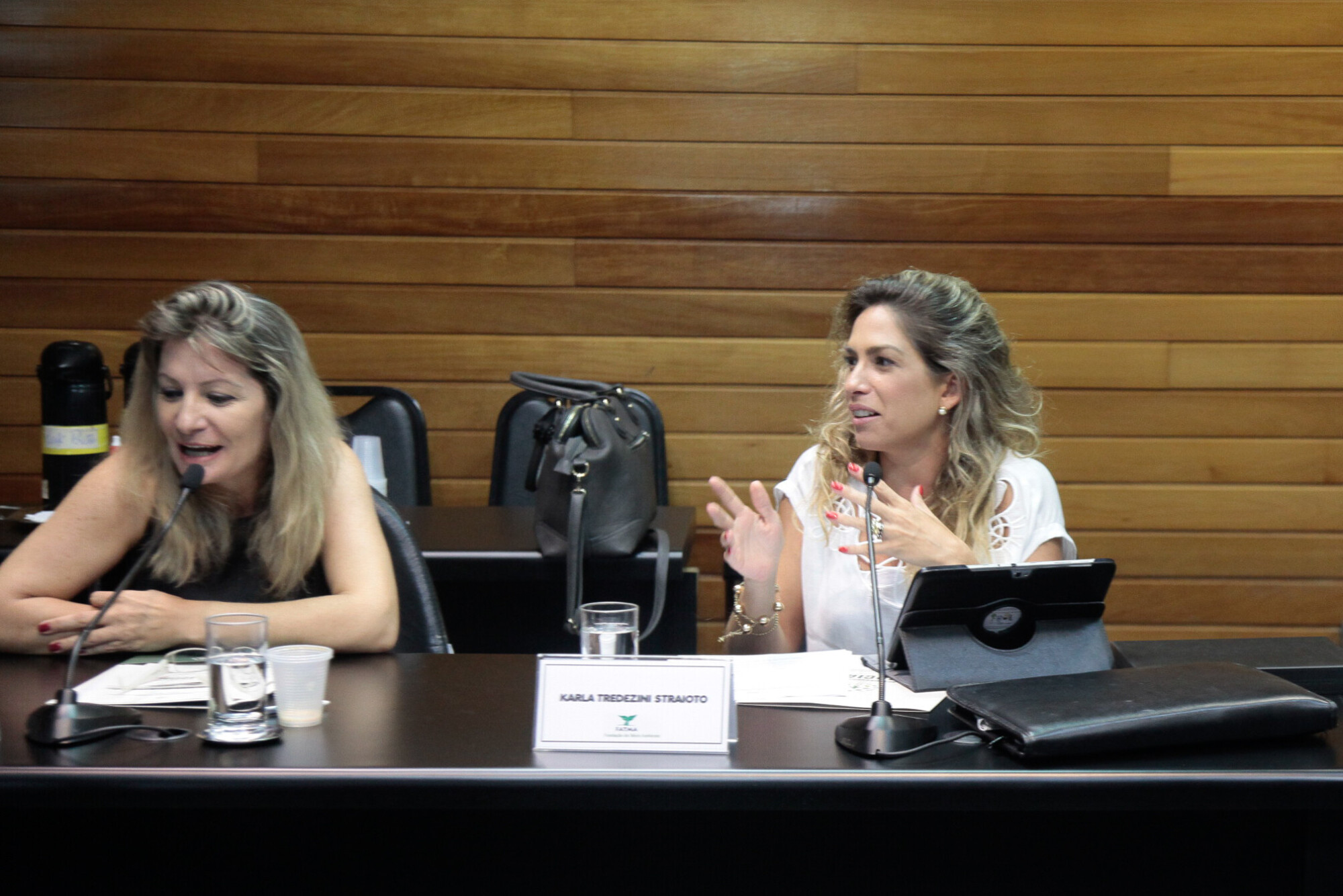Raquel Souto e Karla Straiotto Spessatto, vice e presidente da Comissão Mista de Responsabilidade Social 2016