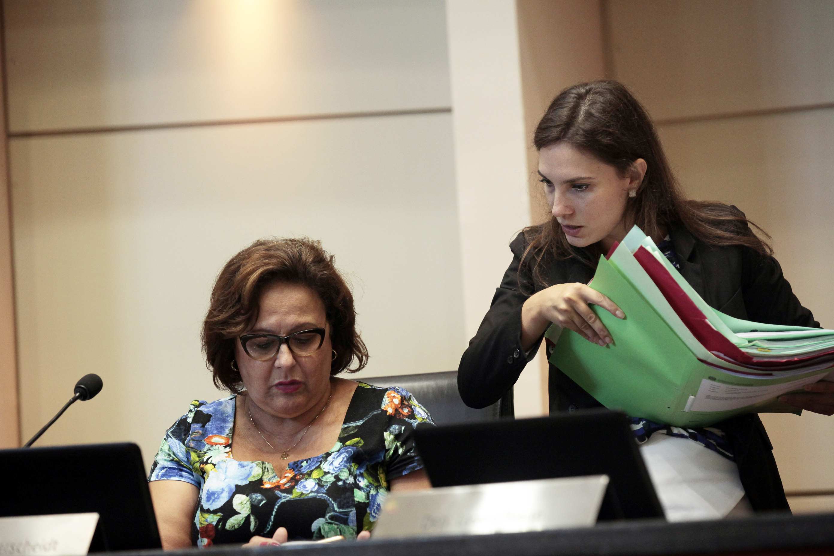 Sessão Ordinária. Foto: Luis Debiasi / Agência AL