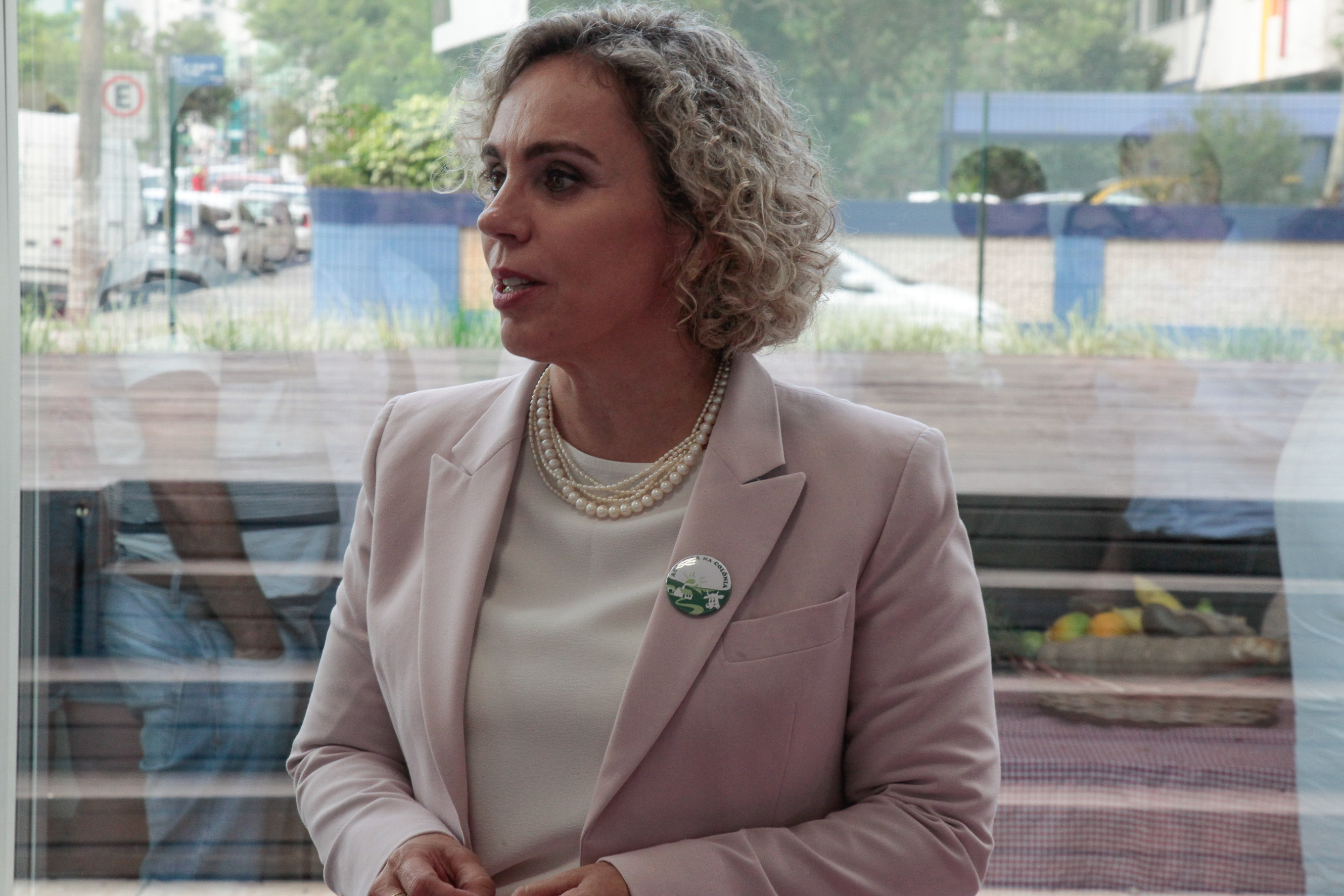 Seminário de Constituição da Federação Catarinense das Associações de Agroturismo Acolhida na Colônia. Deputada Ana Paula Lima (PT)