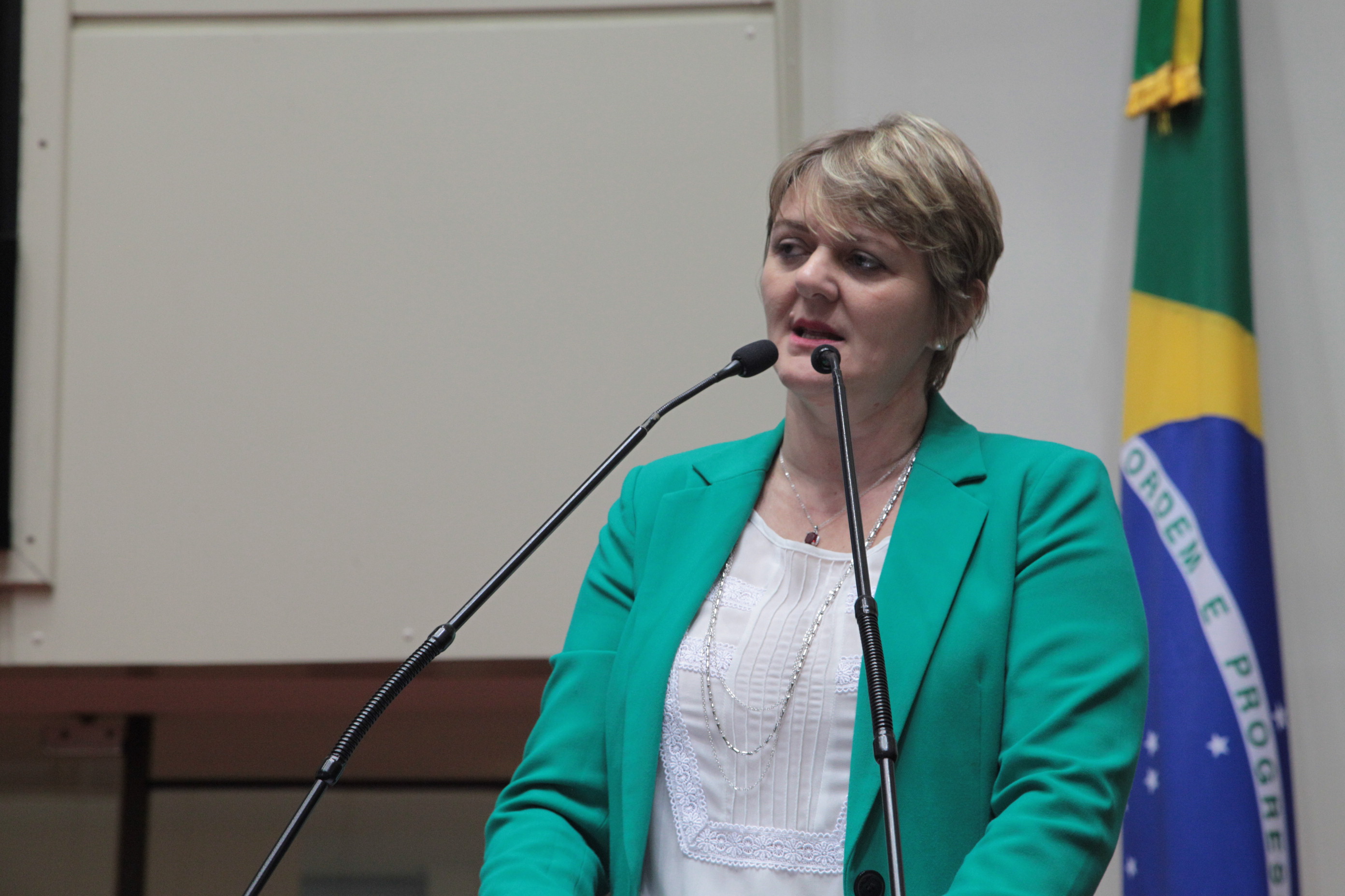 Sessão Ordinária. Deputada Luciane Carminatti (PT)