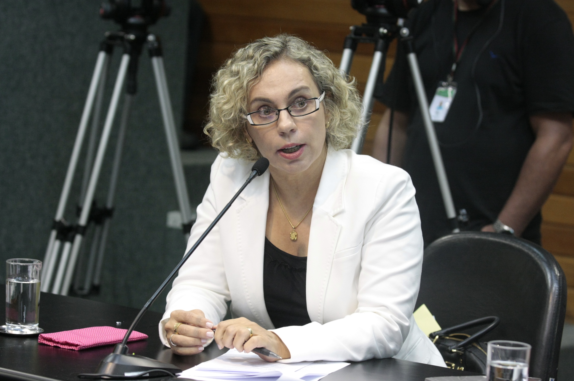 Comissão de Saúde. Deputada Ana Paula Lima (PT). Foto: Yuri Santos / Agência AL