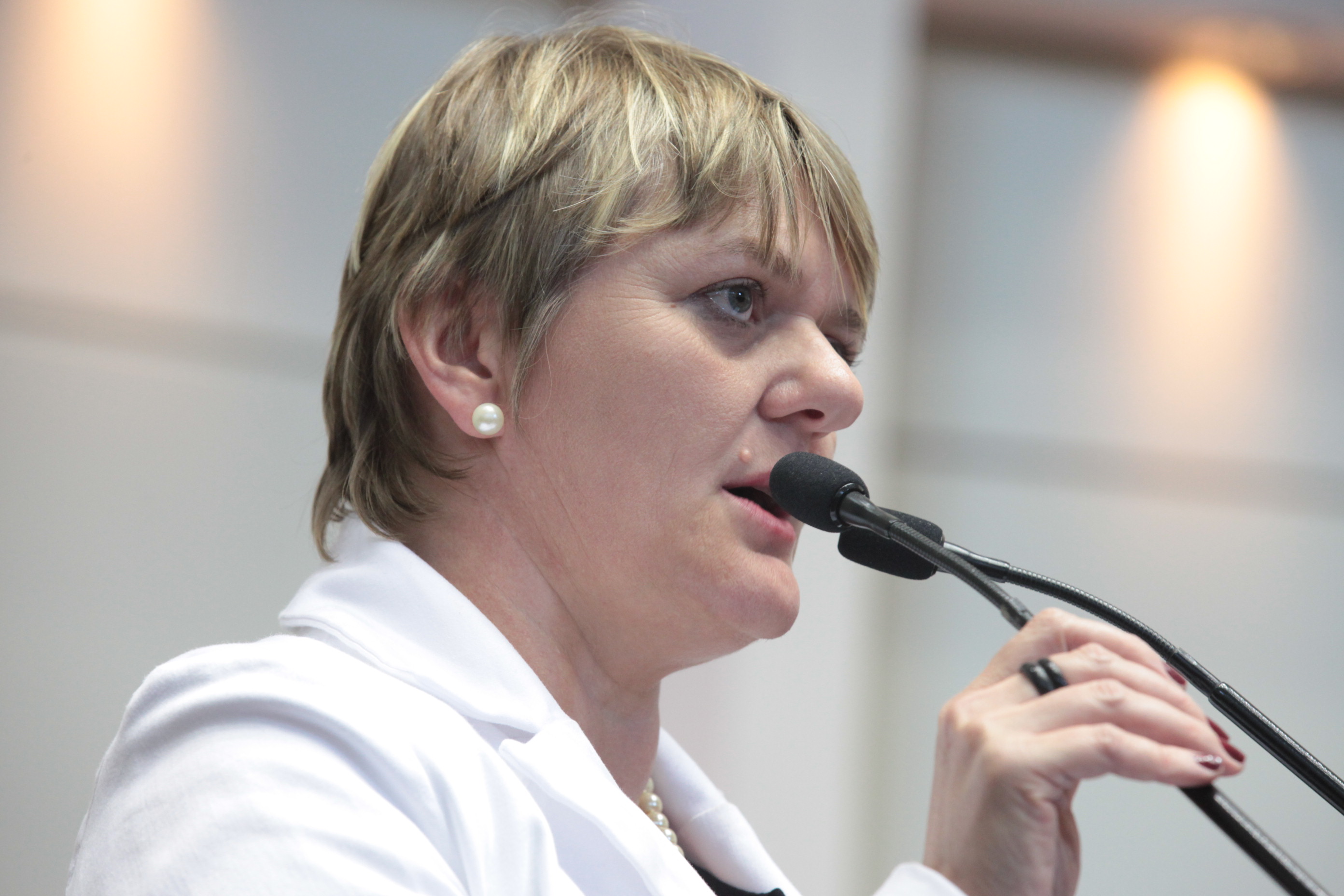 Sessão Ordinária. Deputada Luciane Carminatti (PT)
