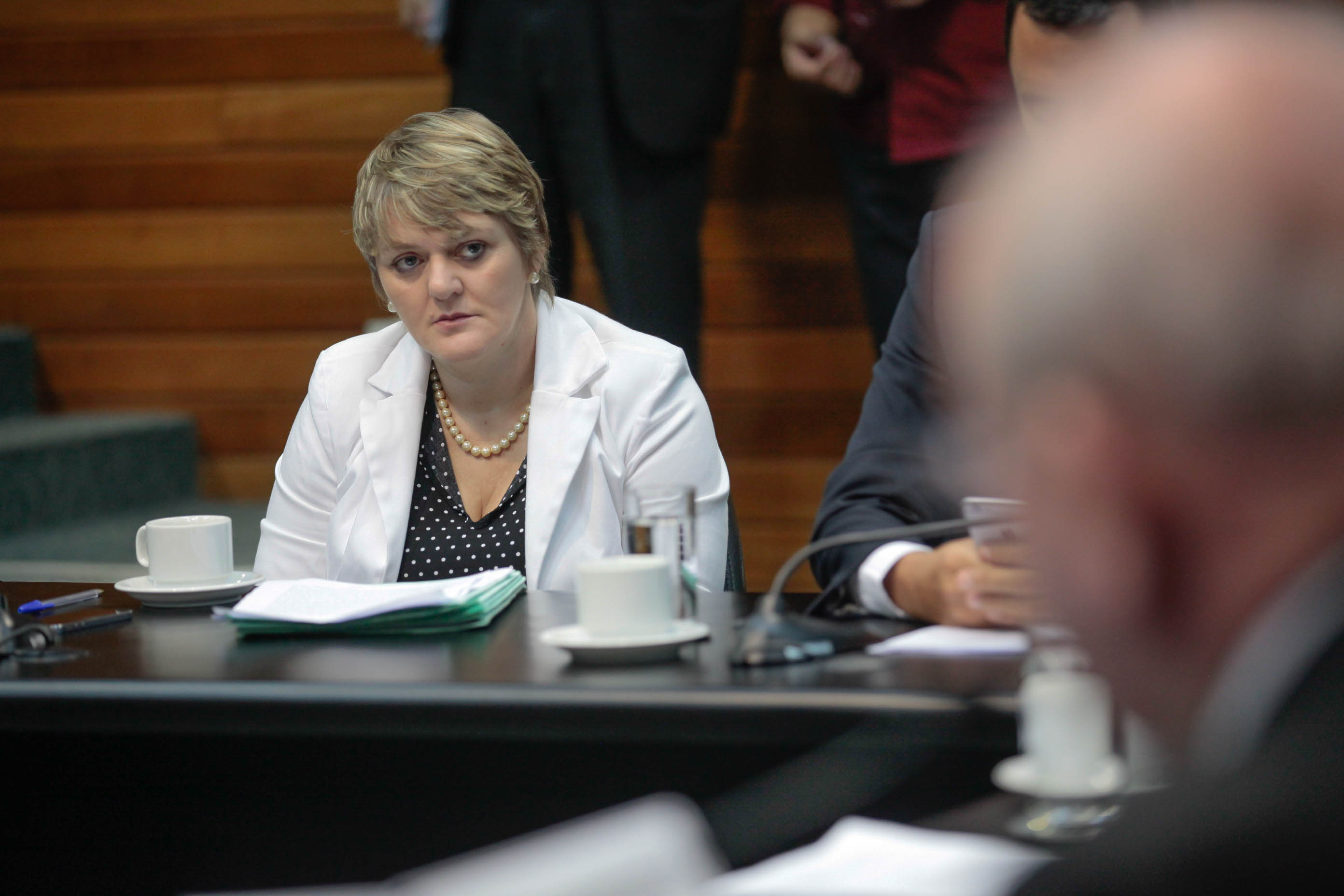 Deputada Luciane Carminatti (PT) em Comissão de Constituição e Justiça