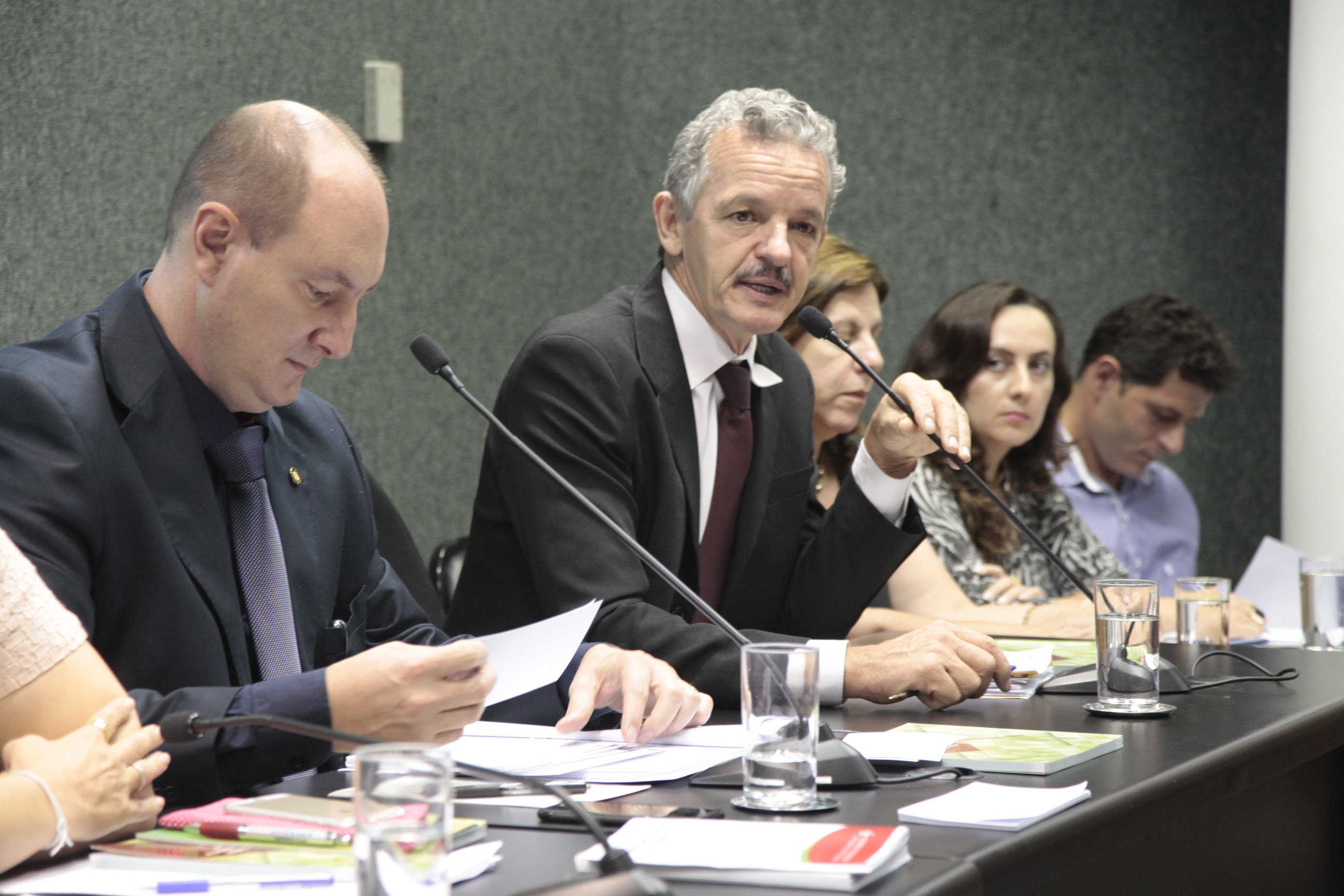 Audiência Pública sobre o Projeto de Lei nº 0035.1/2016, que Institui o Tratamento Favorecido e Simplificado para o Microprodutor Primário do Estado de Santa Catarina.