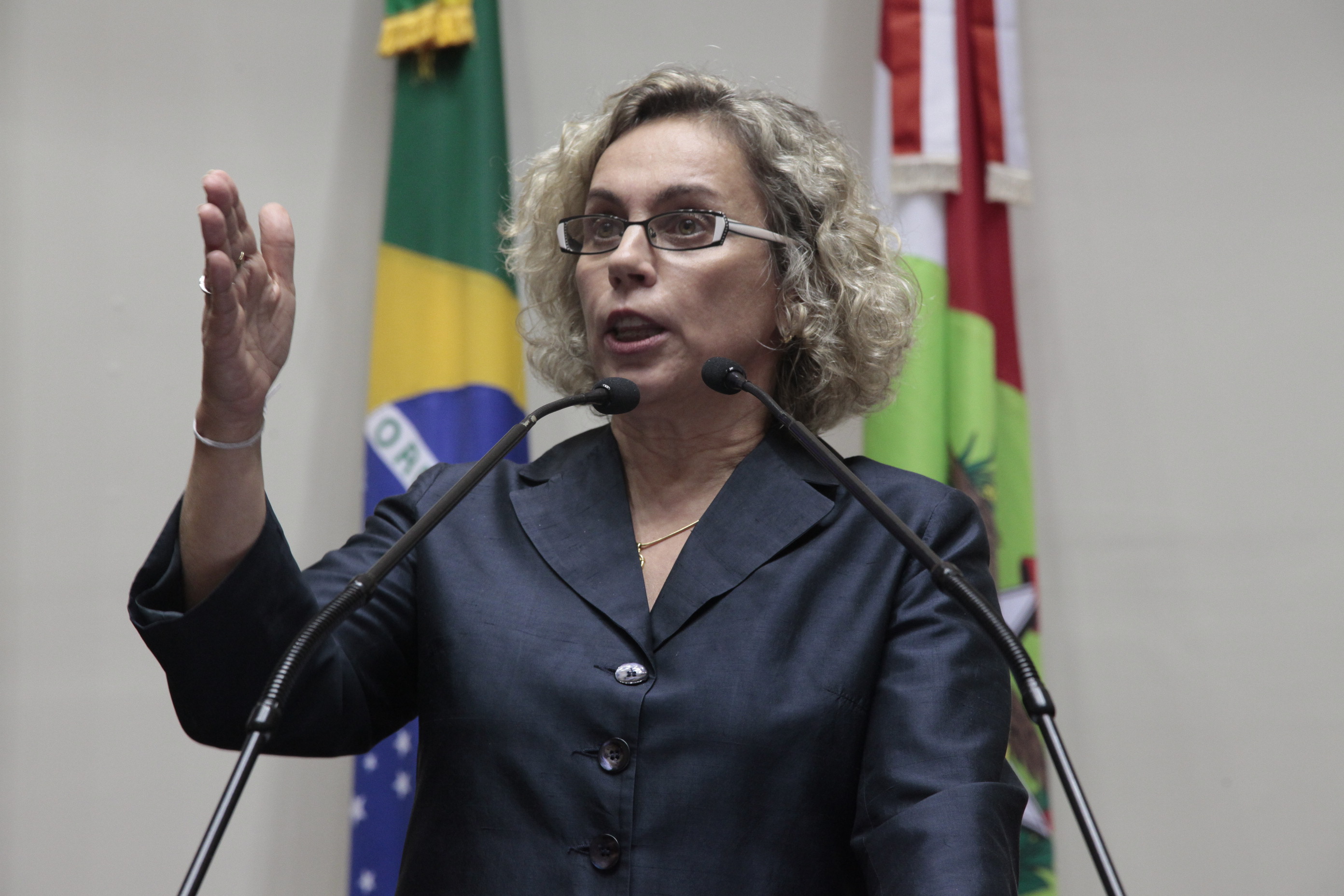 Sessão Ordinária. Deputada Ana Paula Lima (PT)
