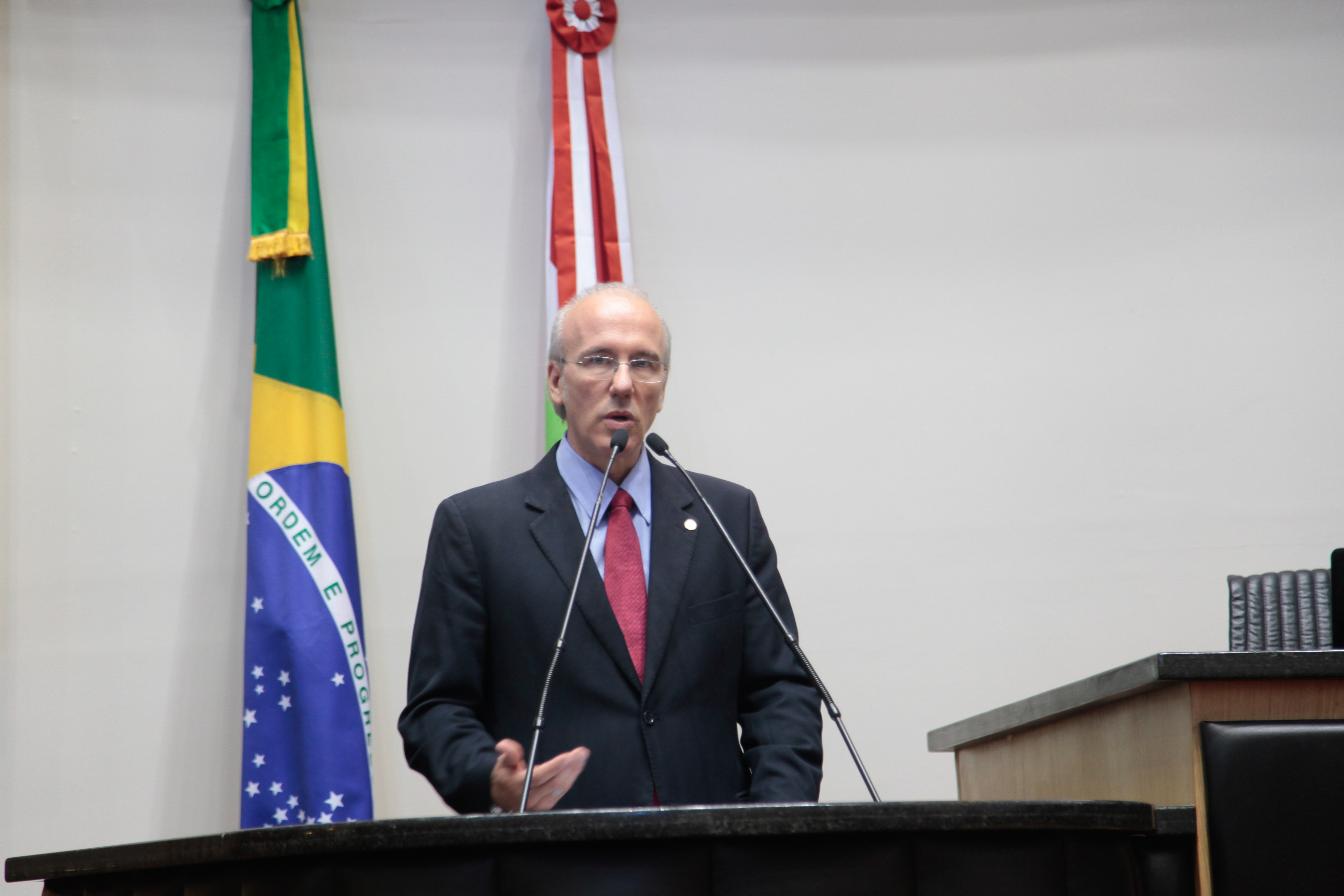 Sessão Plenária
